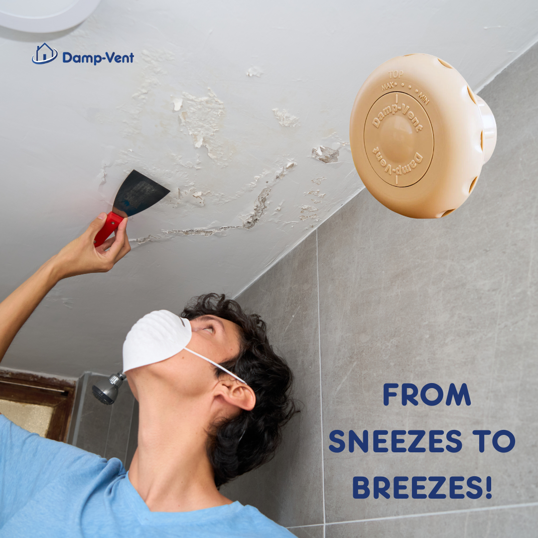 Damp Vent Facebook ad
