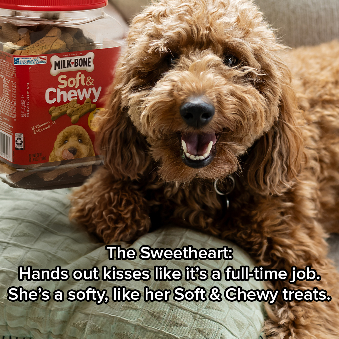 Milk-Bone Facebook ad from Nov 3, 2025