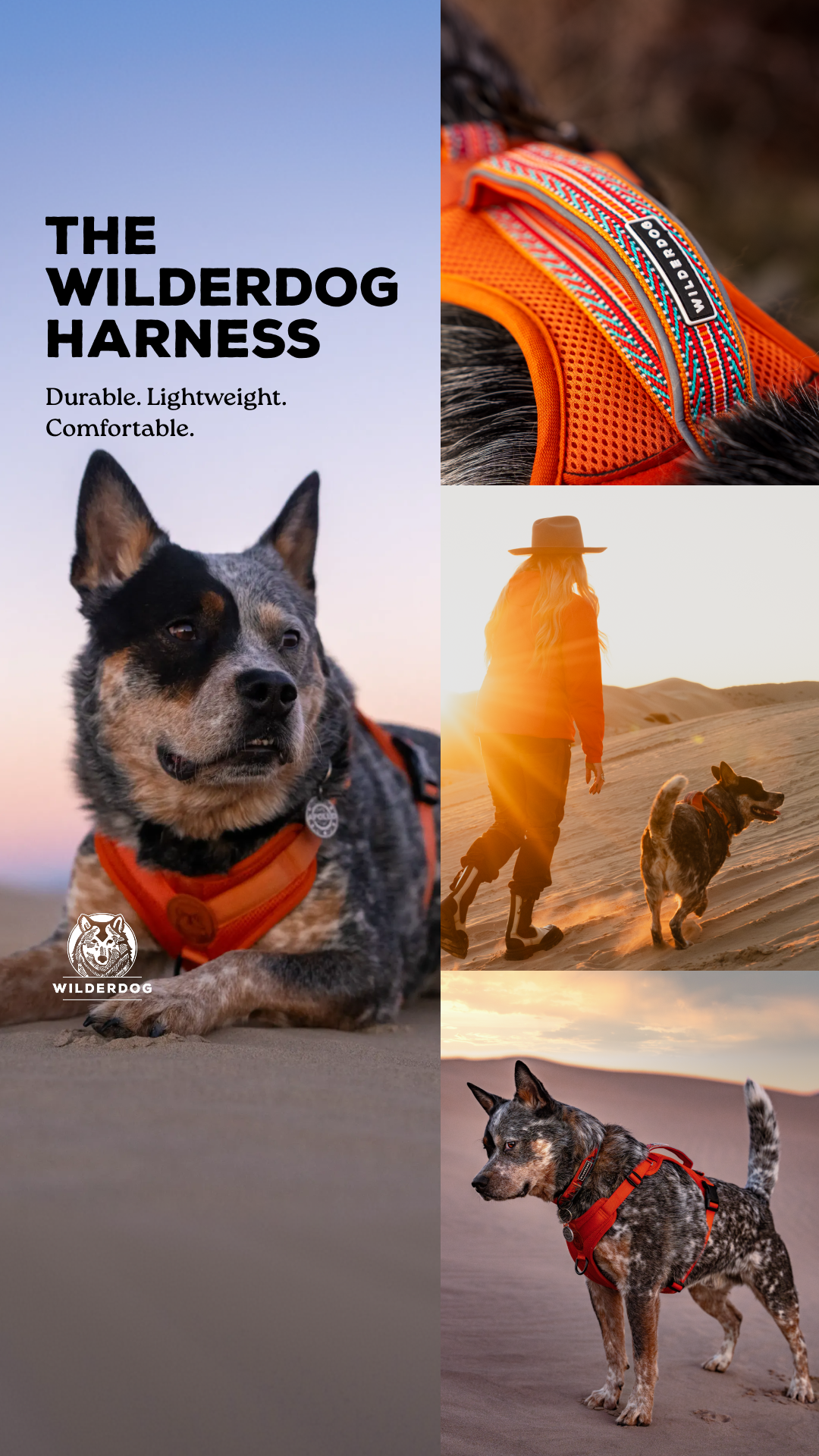 Wilderdog Facebook ad