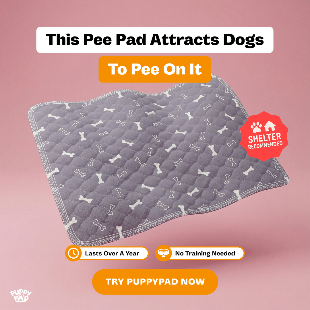 PuppyPad Facebook ad