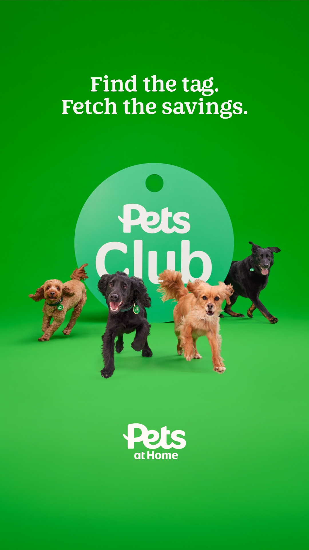 Pets UK Facebook ad