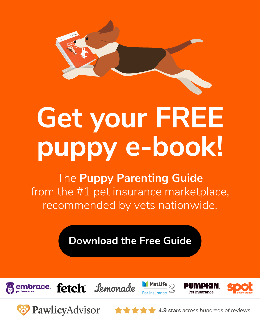 Pawlicy Advisor Facebook ad