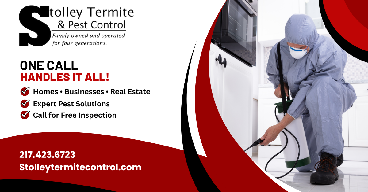 Stolley Termite & Pest Control Facebook ad: From Ants to Rodents-We Have You Covered