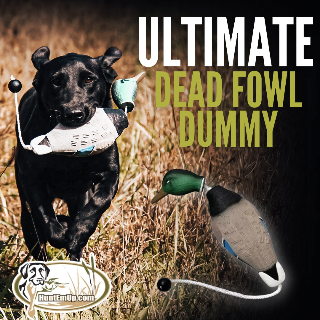 HuntEmUp.com Facebook ad: Master Training & Hunting - #1 Fowl Dummy