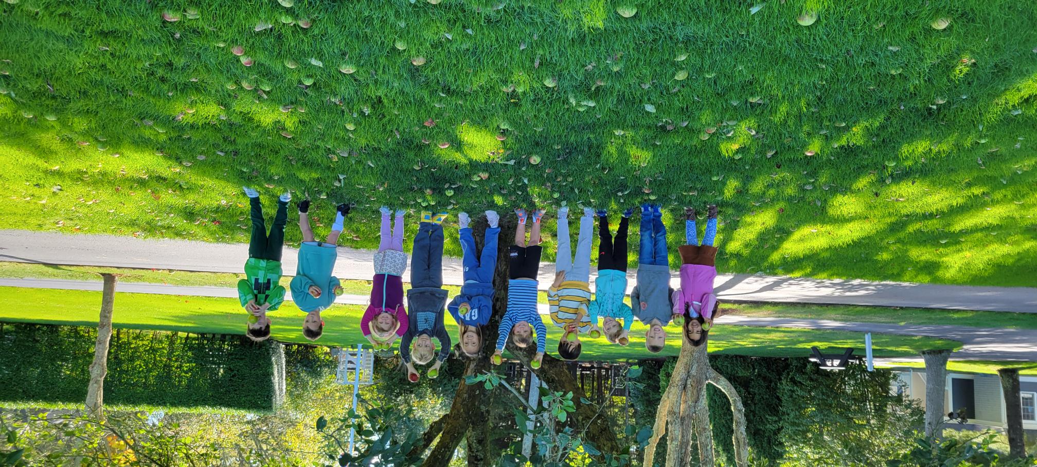 Fair Acres Country Day School & Summer Day Camp Facebook ad: Fair Acres Country Day School & Summer Camp - Cape Cod, MA