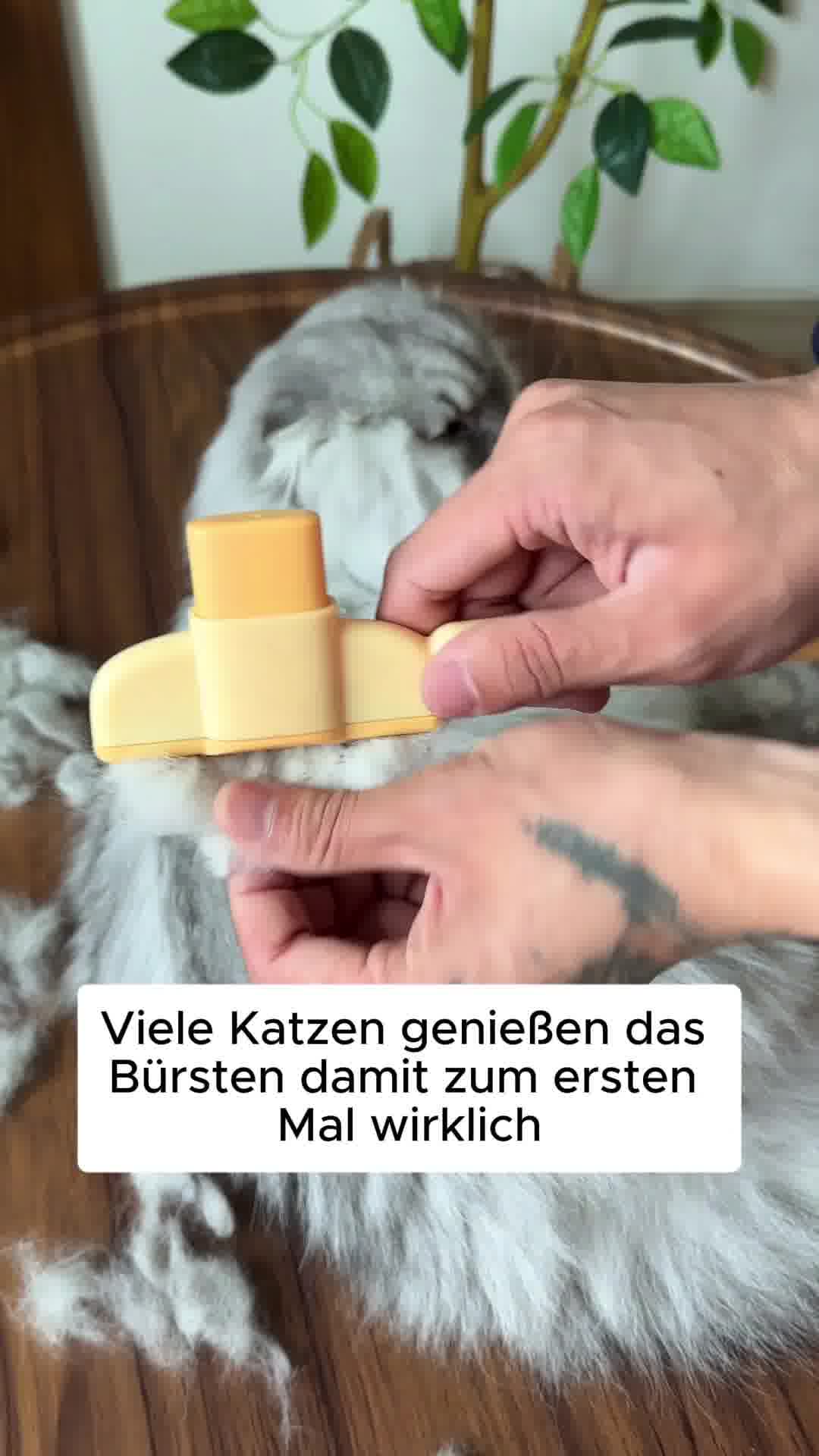 Pfotenmond.de Facebook ad: 30 Tage risikofrei testen