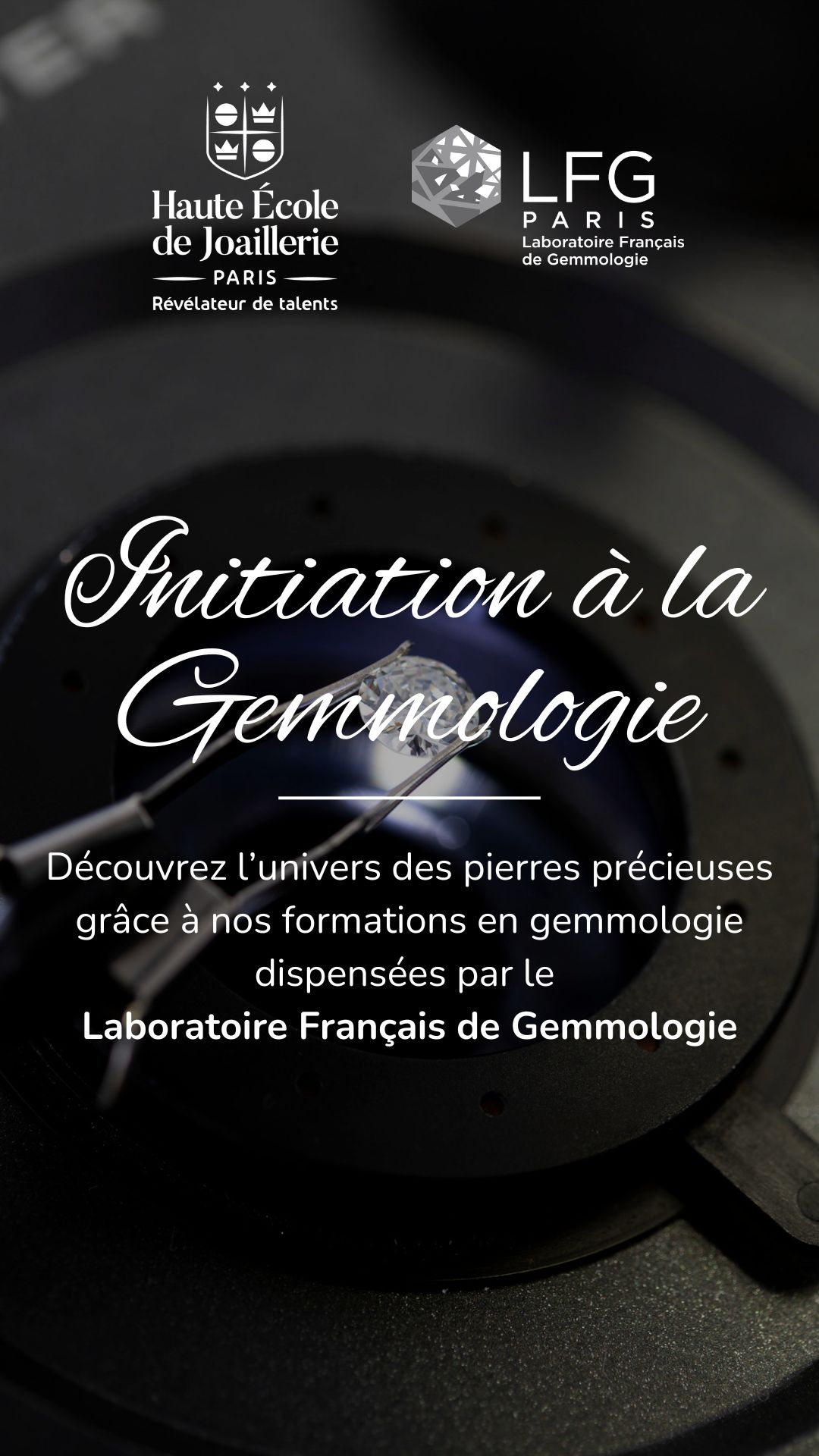 Haute Ecole de Joaillerie Facebook ad from Feb 18, 2025