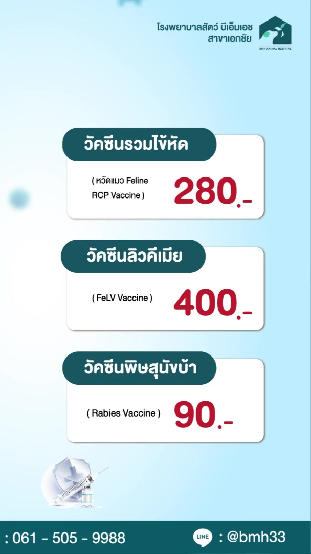 โรงพยาบาลสัตว์ บีเอ็มเอช เอกชัย 24 ชั่วโมง BMH Animal Hospital Ekachai 24hr Facebook ad from May 12, 2026