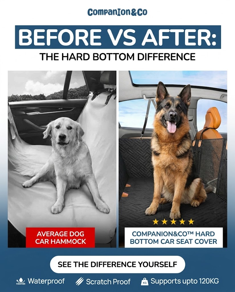 Companion&Co Facebook ad