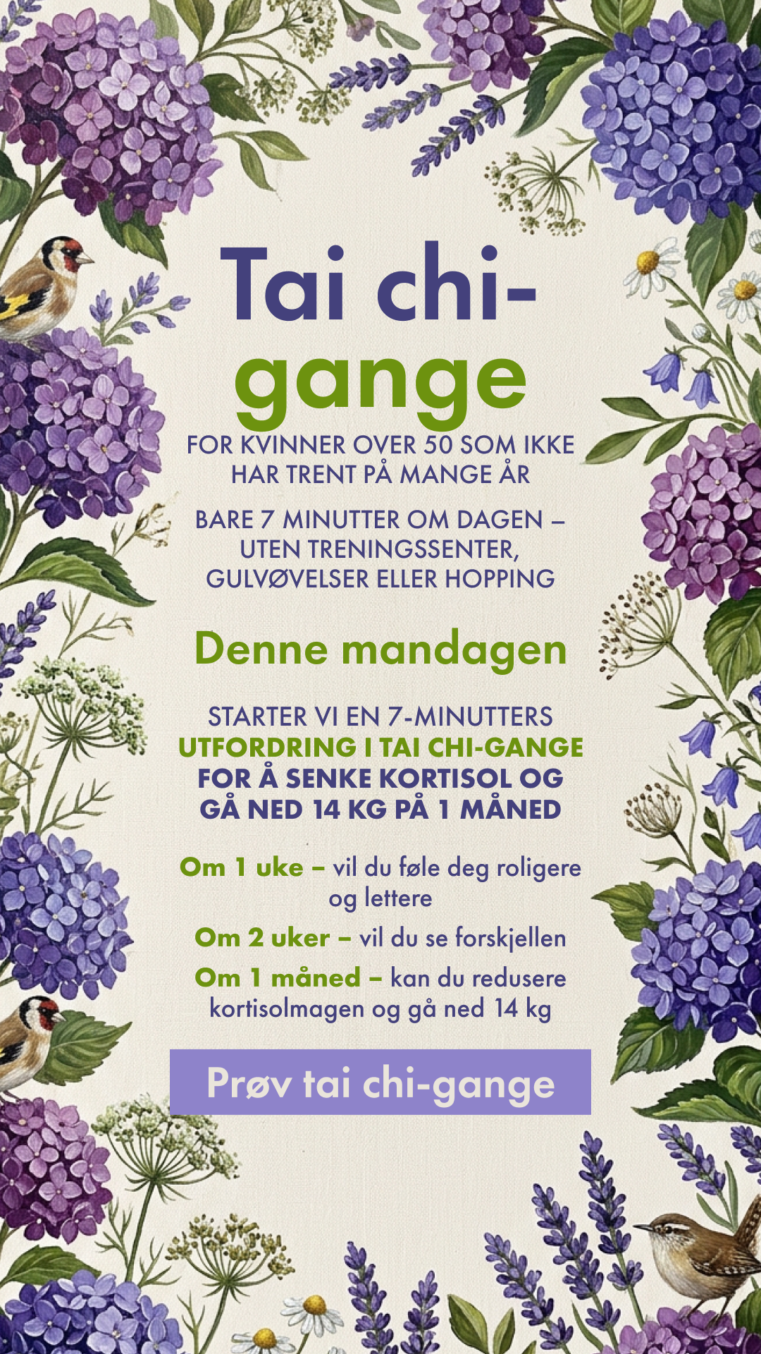 Мy 28 Day Challenge Facebook ad