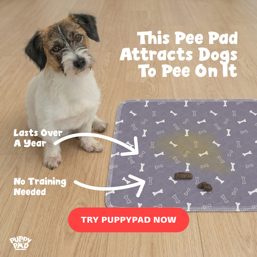 PuppyPad Facebook ad
