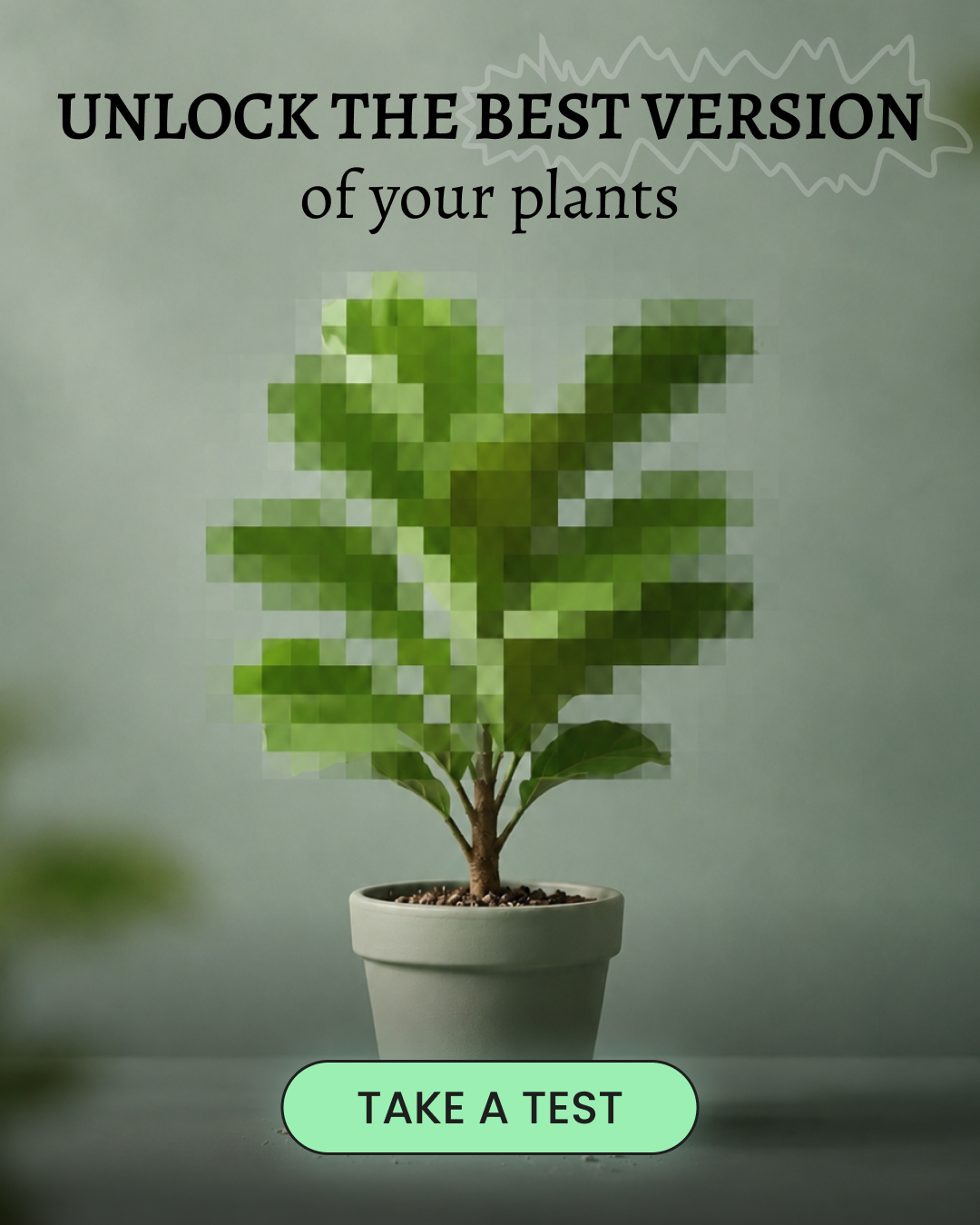 PlantIn AI: Never Kill Your Plants Facebook ad from May 25, 2026