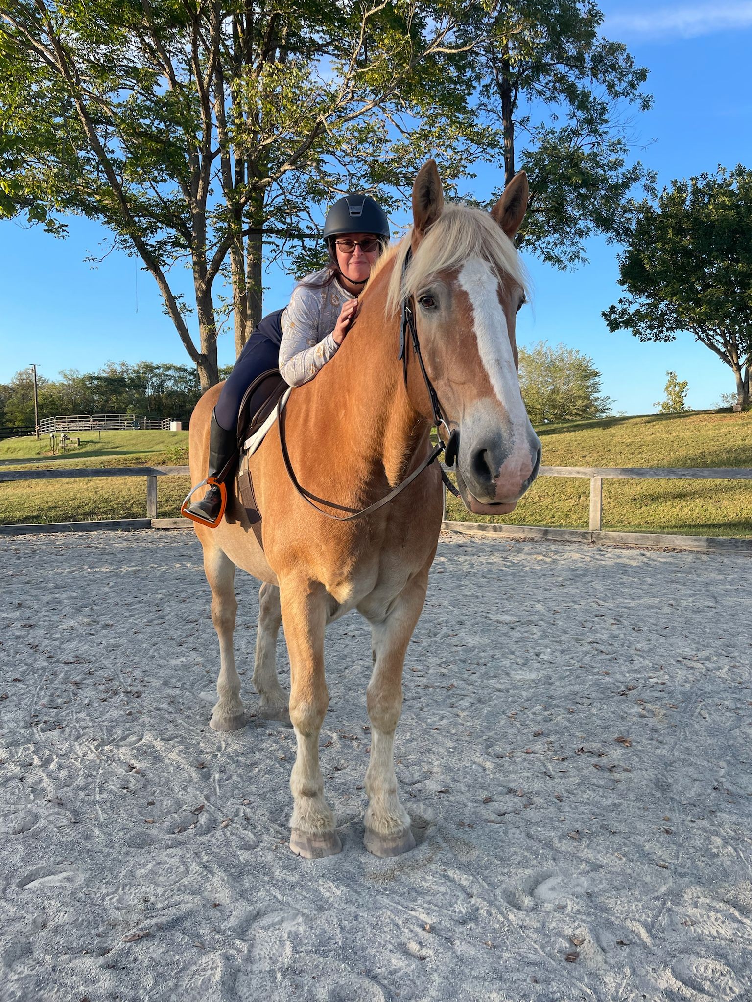 Cool Breeze Equine, LLC Facebook ad: Book a Horseback Riding Lesson