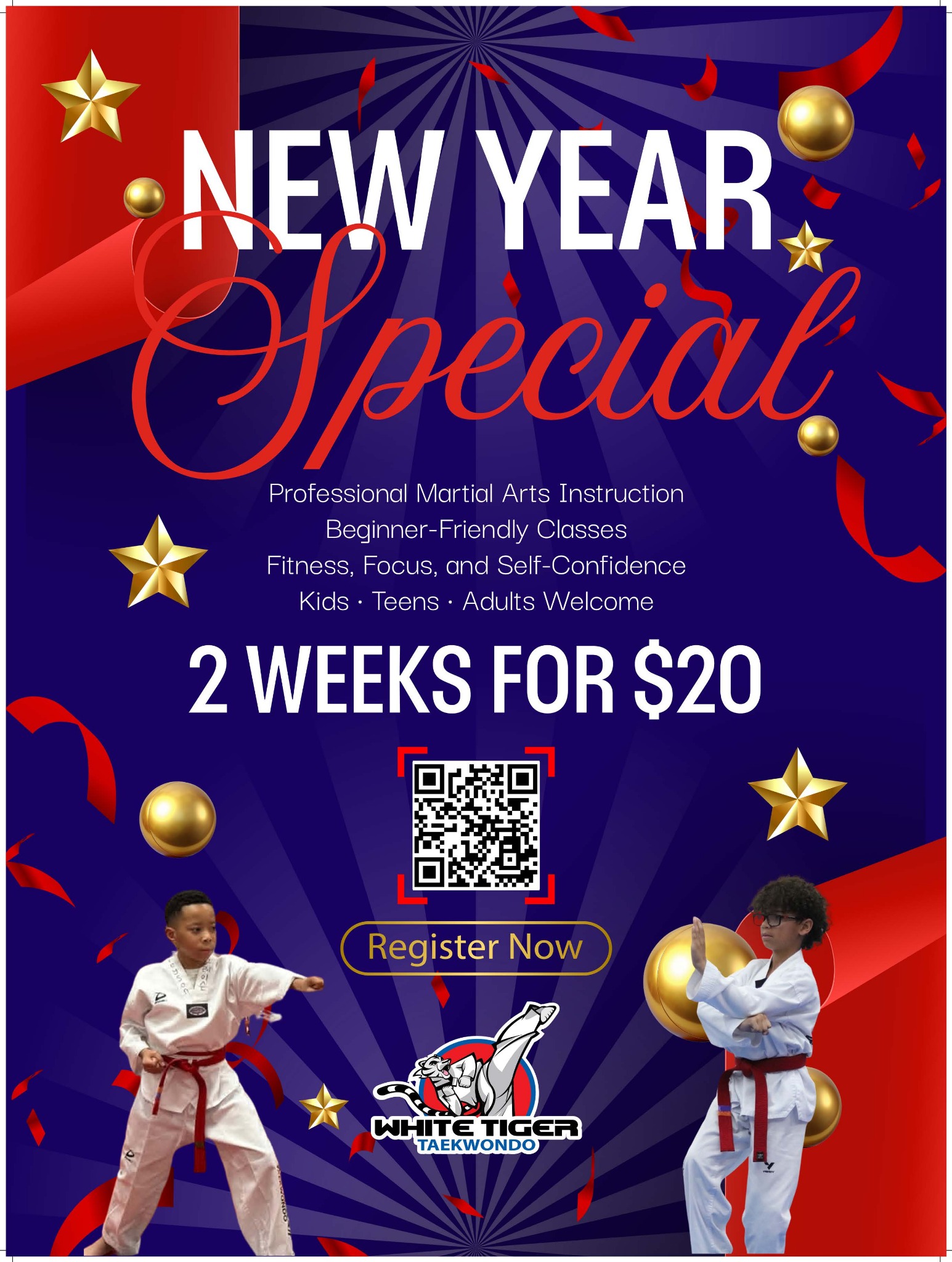 White Tiger Taekwondo Lewisville Facebook ad: 2 Weeks of Classes for ONLY $20
