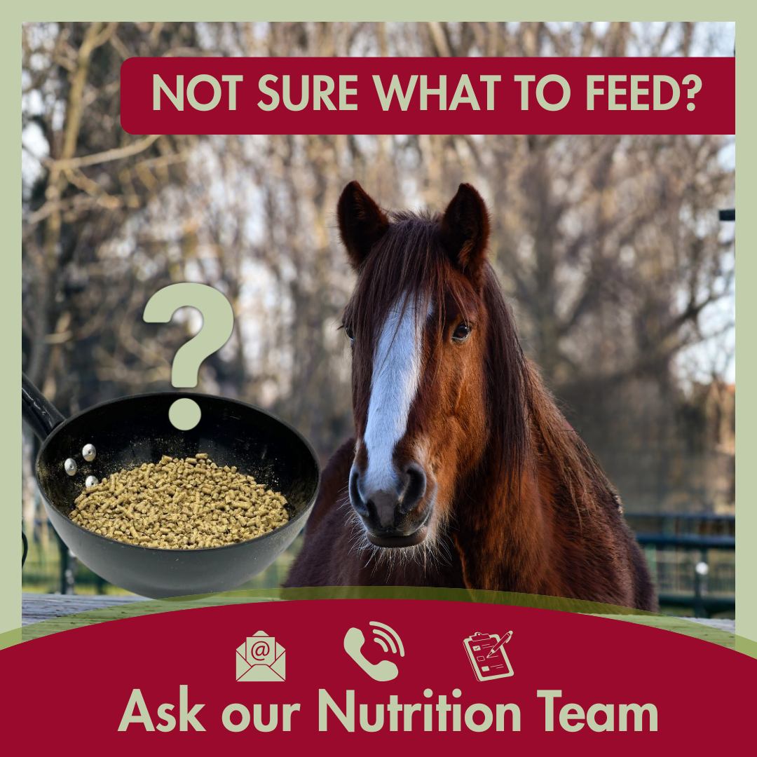 Allen & Page Horse Feeds Facebook ad from Apr 20, 2026
