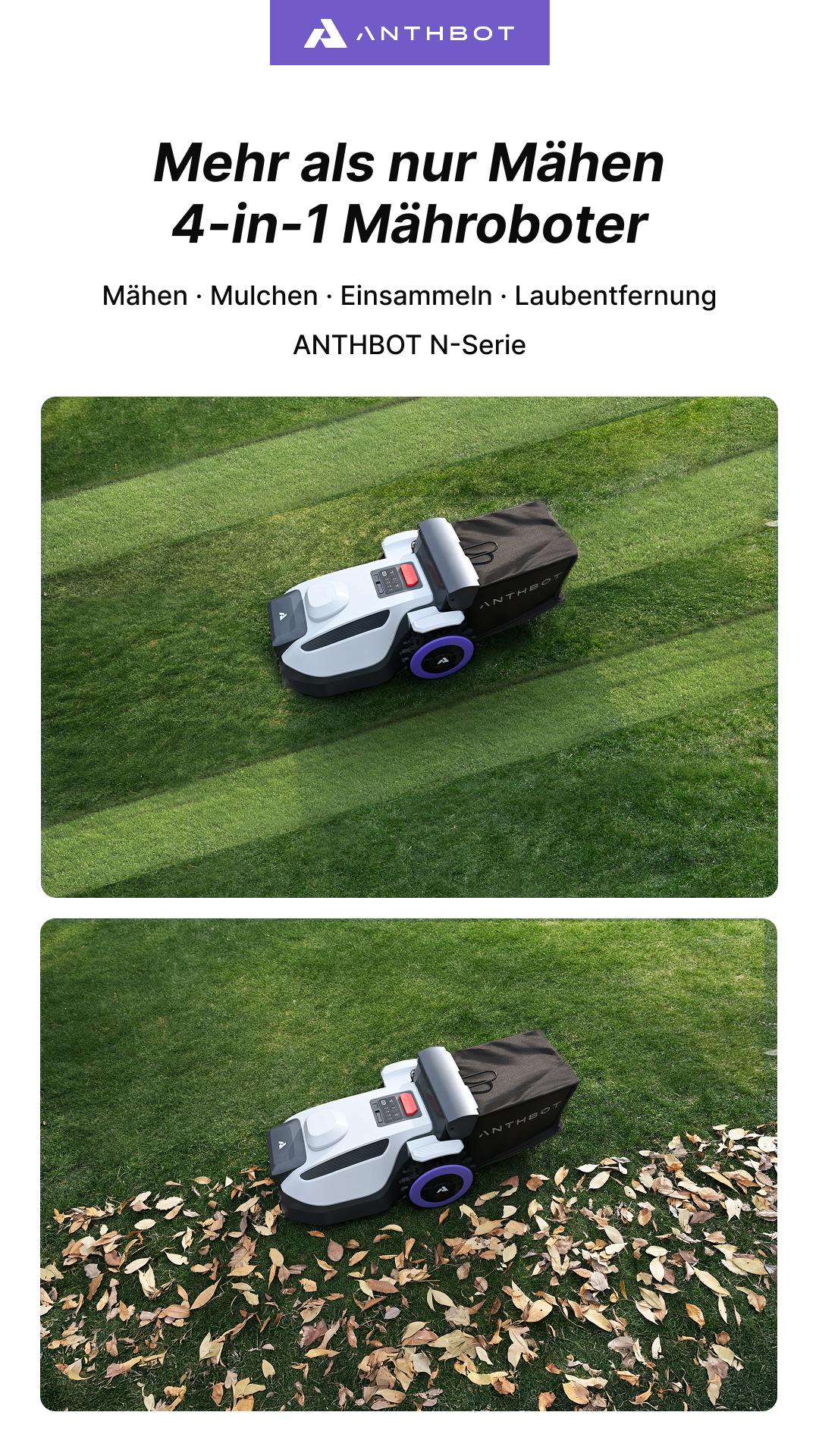 ANTHBOT Deutschland Facebook ad