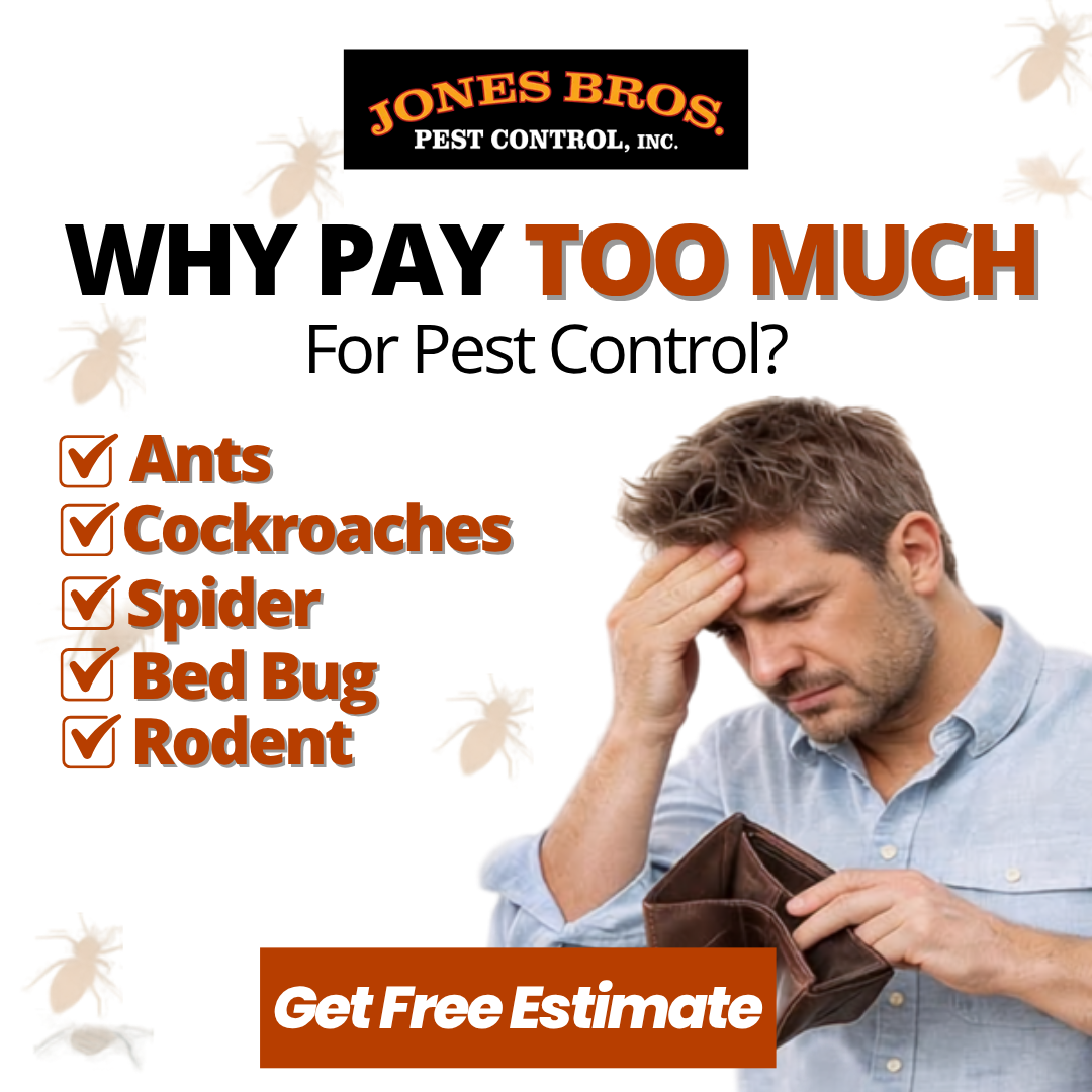 Jones Bros Pest Control, Inc. Facebook ad: Book your spider control today!
