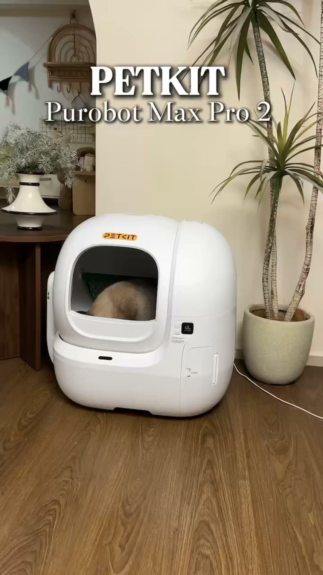 Petkit US Facebook ad: Upgrade your cat care today