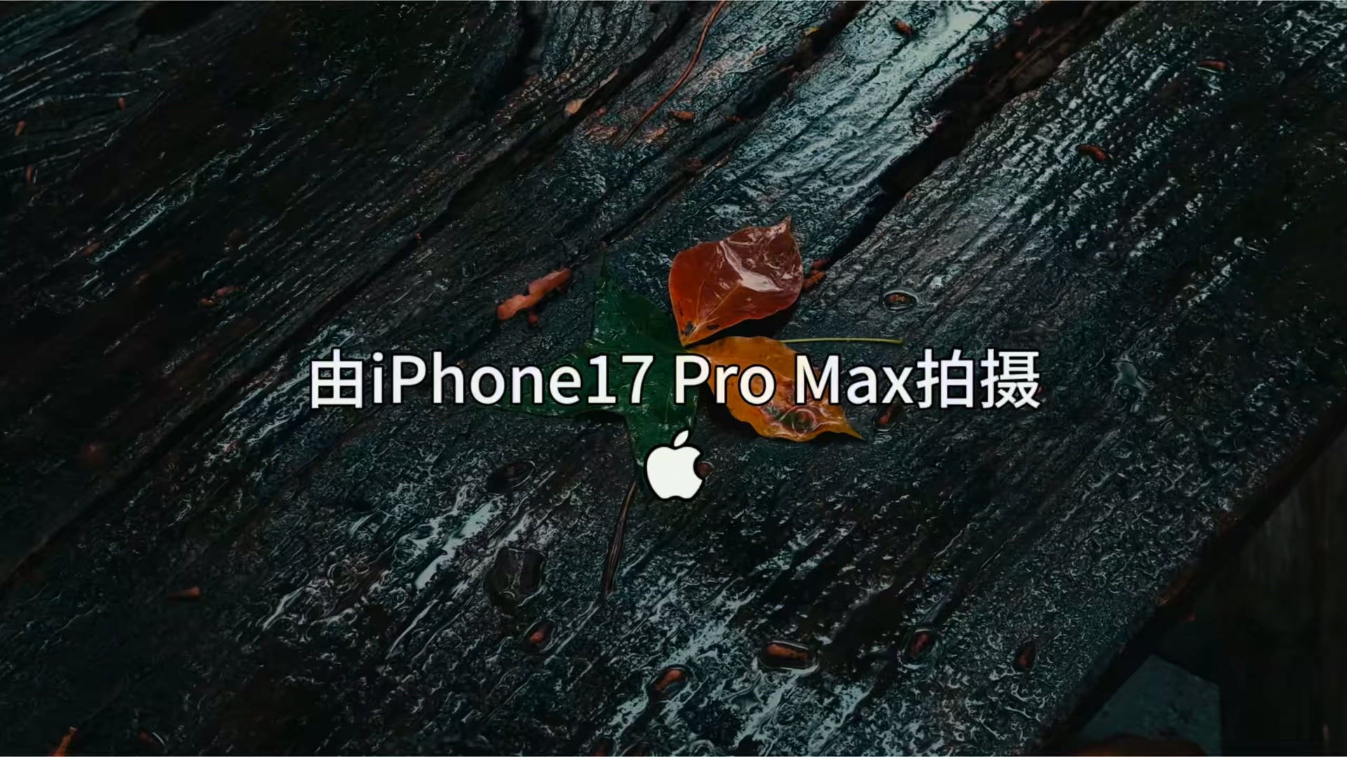 AIVerse Facebook ad: iPhone 4K Camera App
