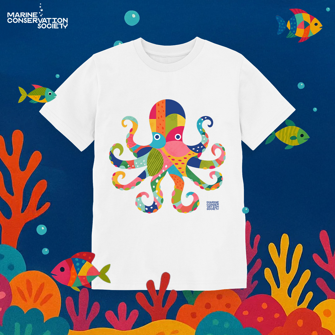 Marine Conservation Society Facebook ad