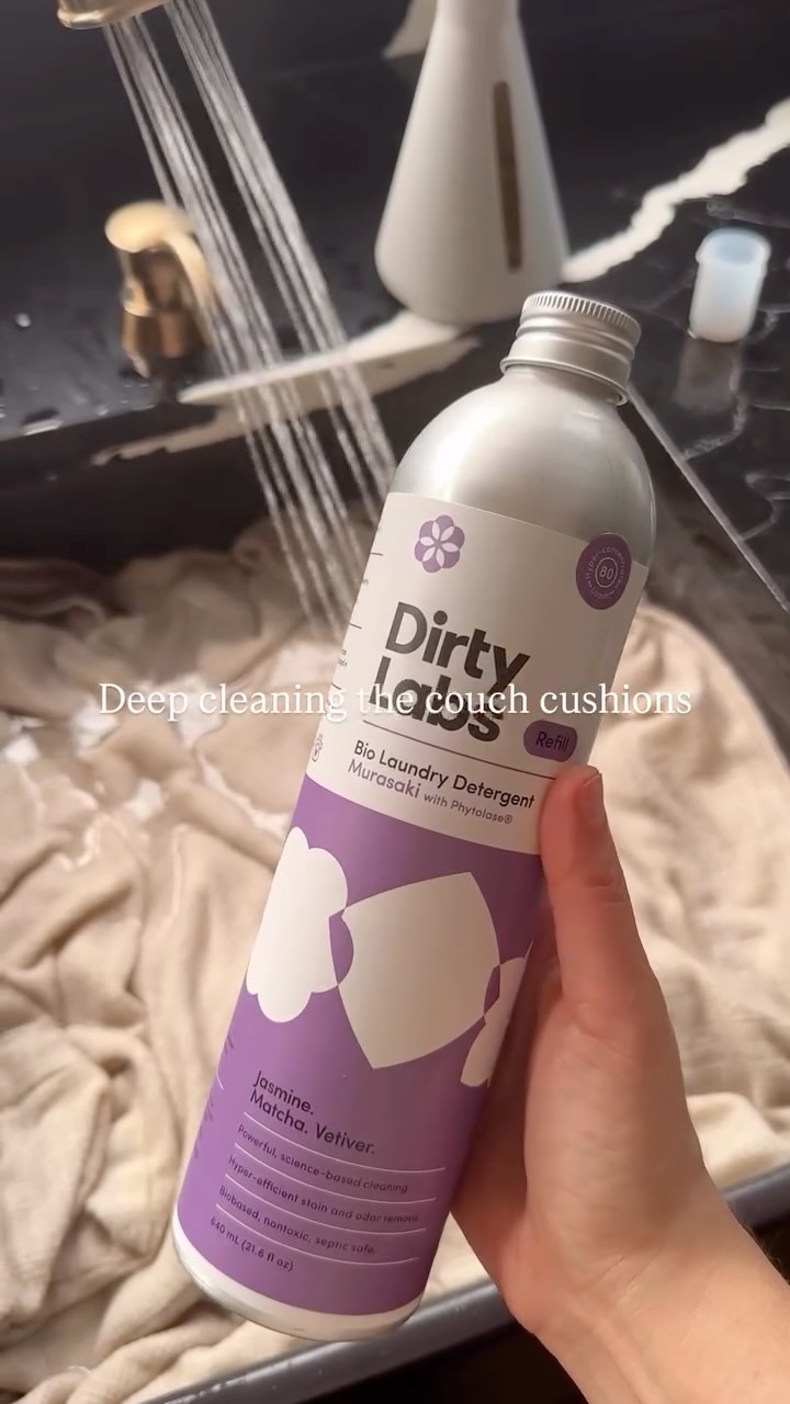 Dirty Labs Facebook ad: Using @dirty_labs to deep clean the couch cushions