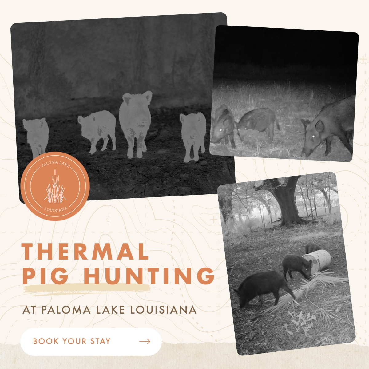 Paloma Lake Facebook ad: LA Thermal Pig Hunting Grounds & Lodging