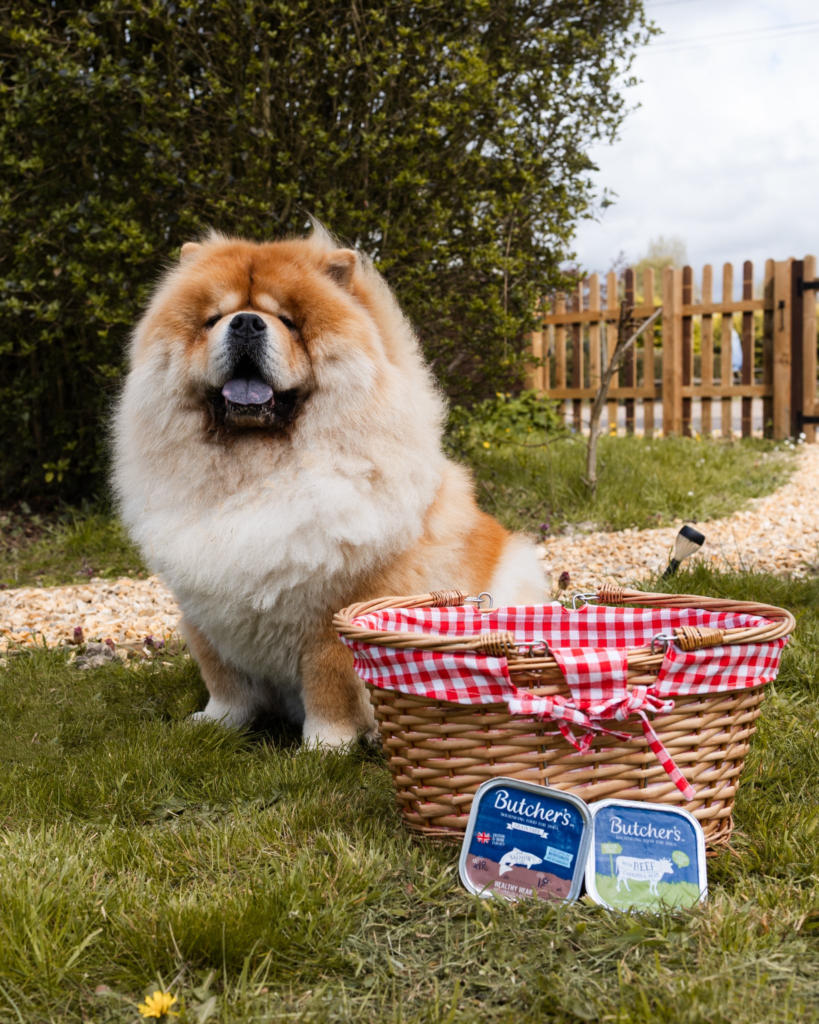 Butcher's Dog Food Facebook ad