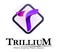 Skin By Trillium