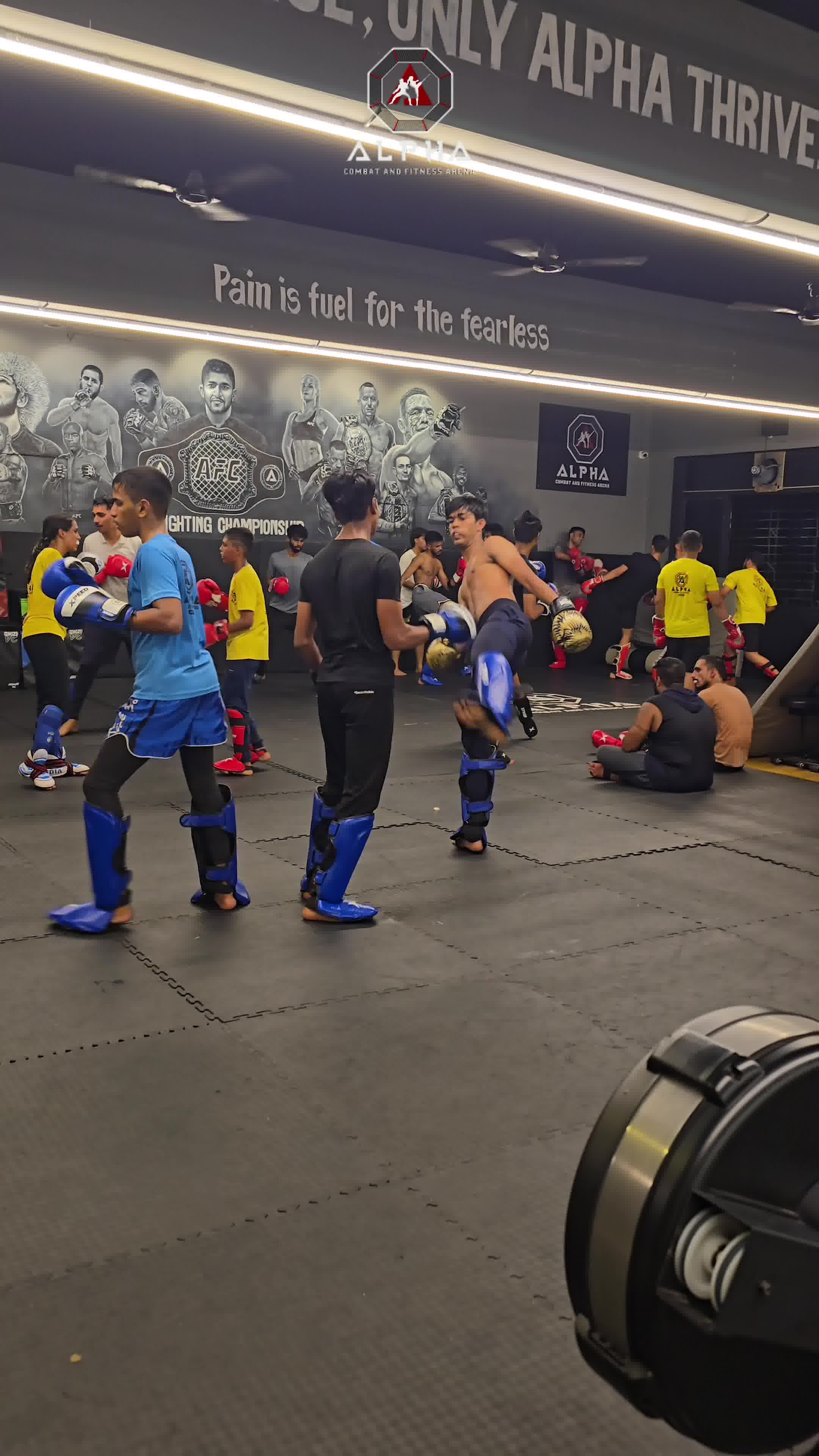 teamalphacombatfitness Facebook ad: Not Just a Gym. Not Just MMA. Both in One Place.