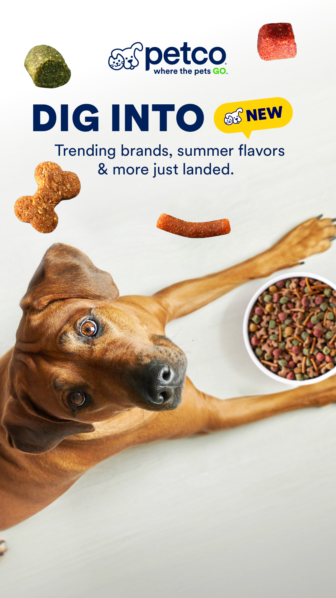 Petco Facebook ad