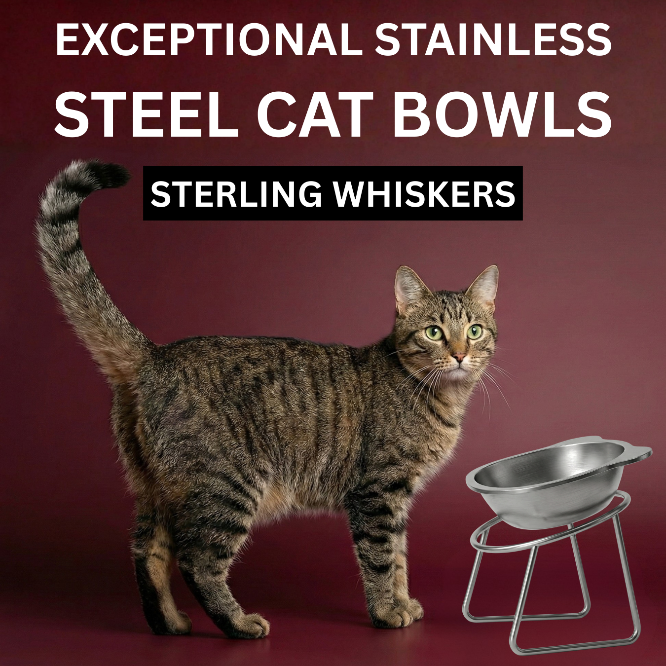 The Friendly Feline Facebook ad: Read this if you still use a standard cat bowl