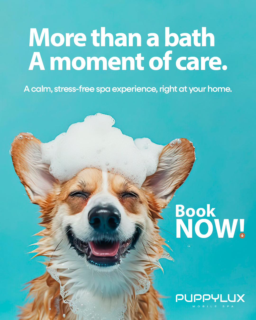 PuppyLux Mobile Spa Facebook ad from Jan 26, 2026