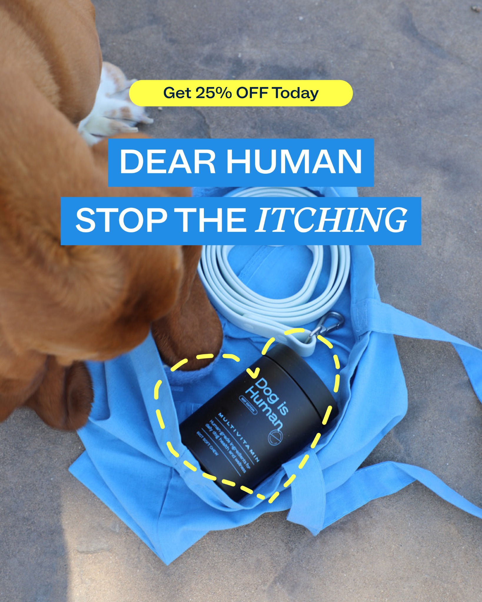 Dog is Human Facebook ad