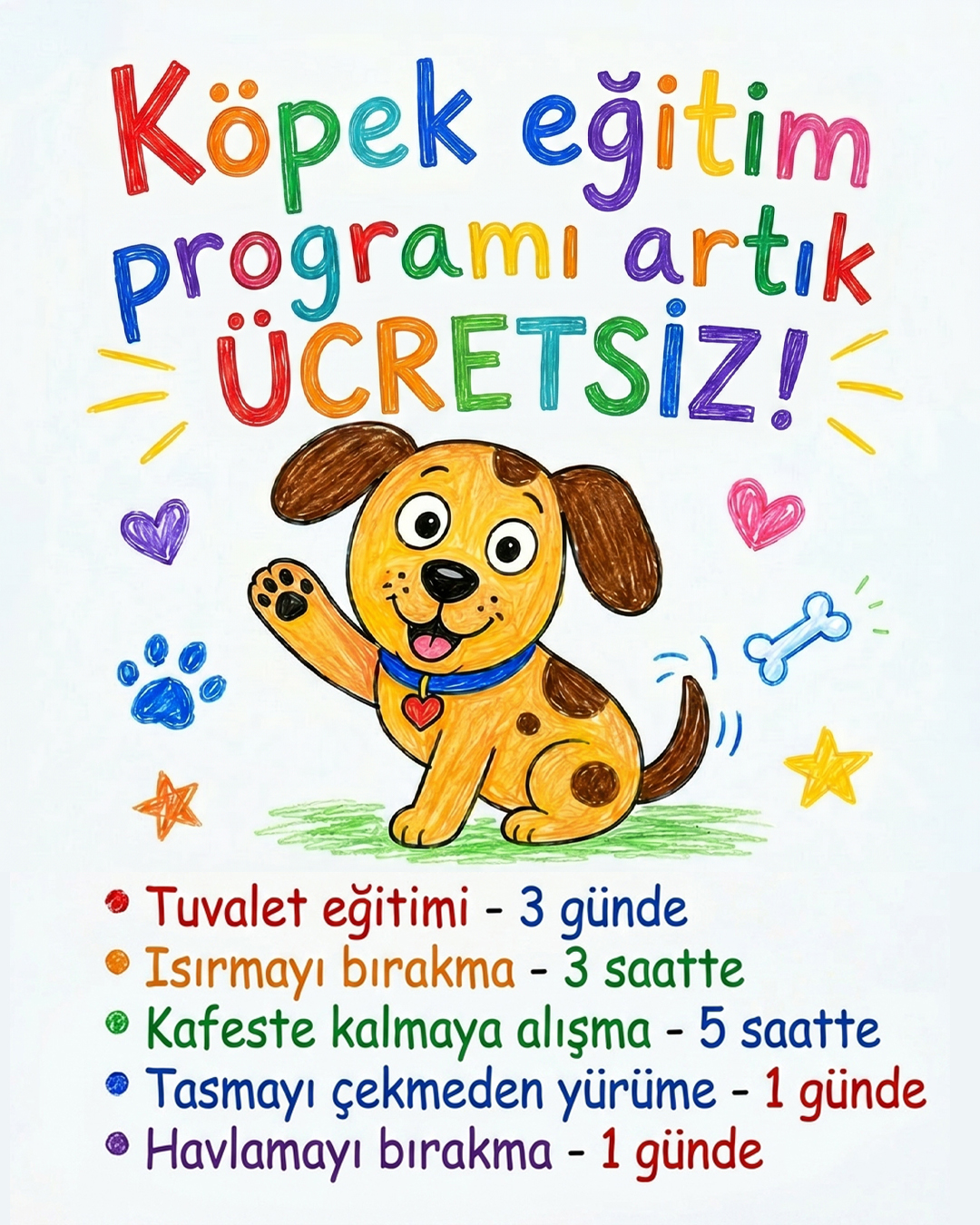 Ben Your Puppy Trainer Facebook ad