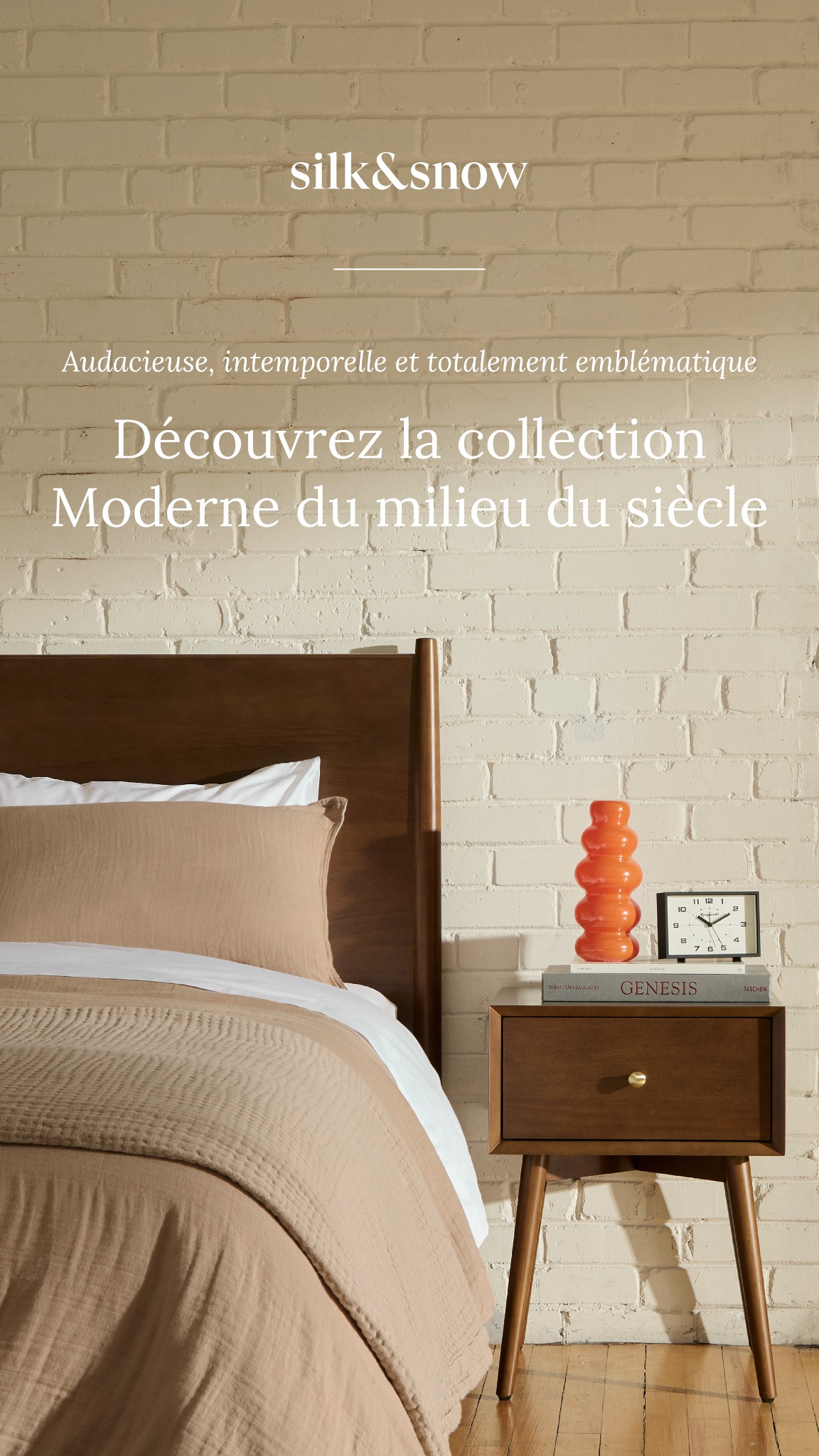 Maison Silk & Snow Facebook ad