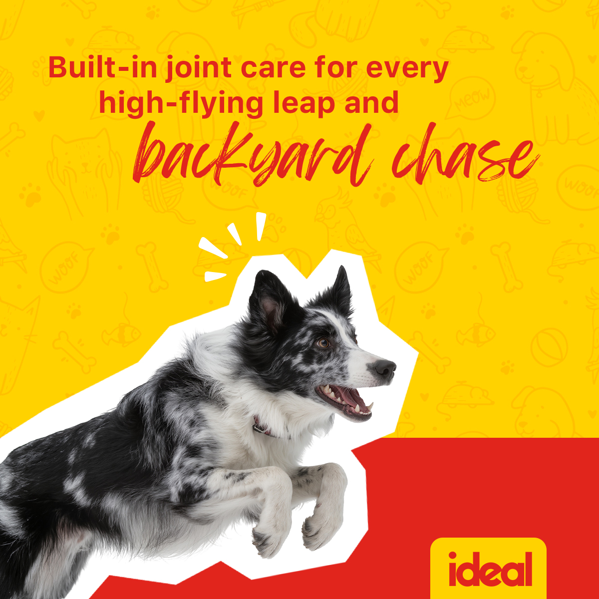 Ideal Pet Food Facebook ad