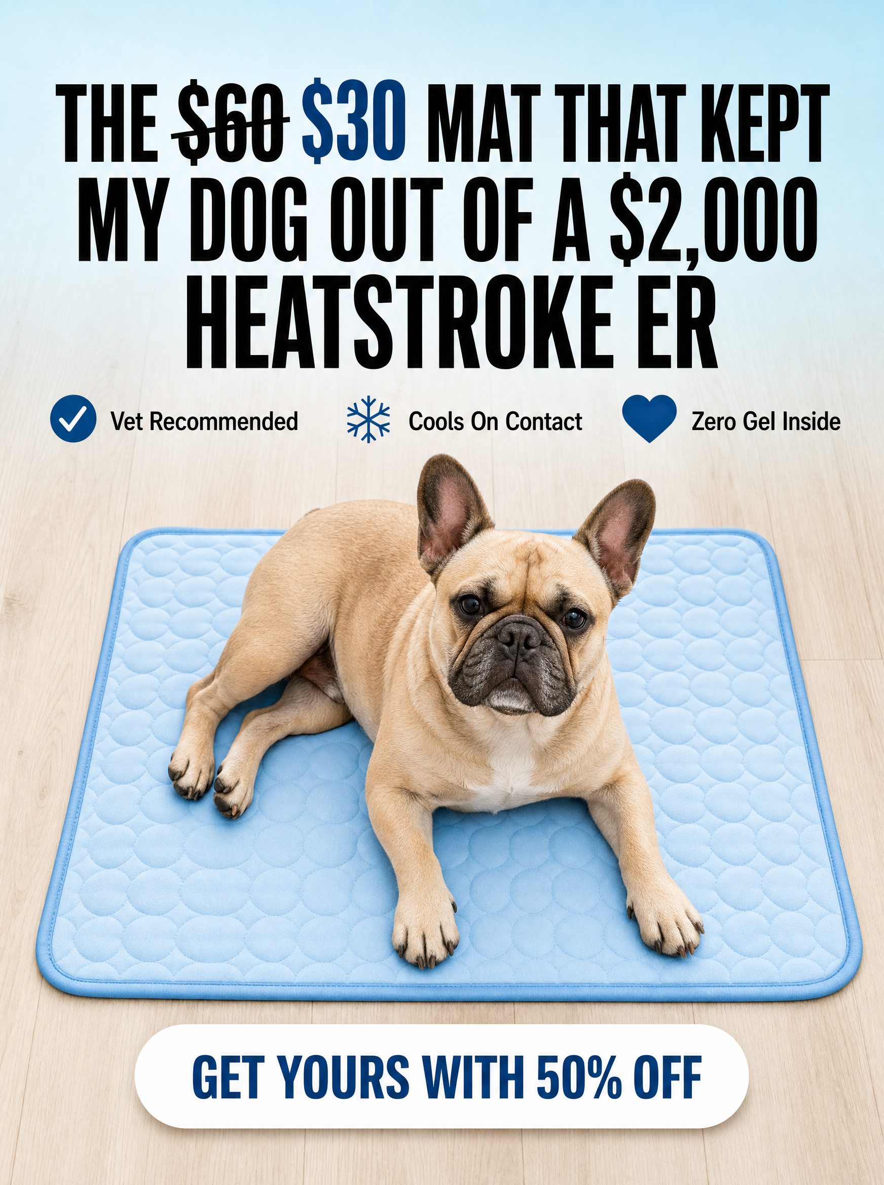 Rhykin Pet Co Facebook ad