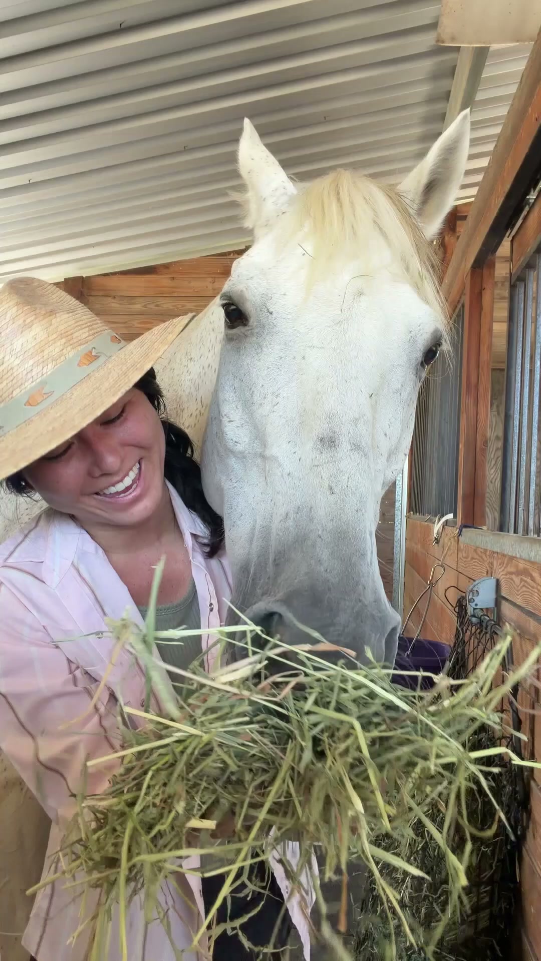 Equine Balanced Support Facebook ad: Whole-Food Trace Minerals for a Healthier Horse