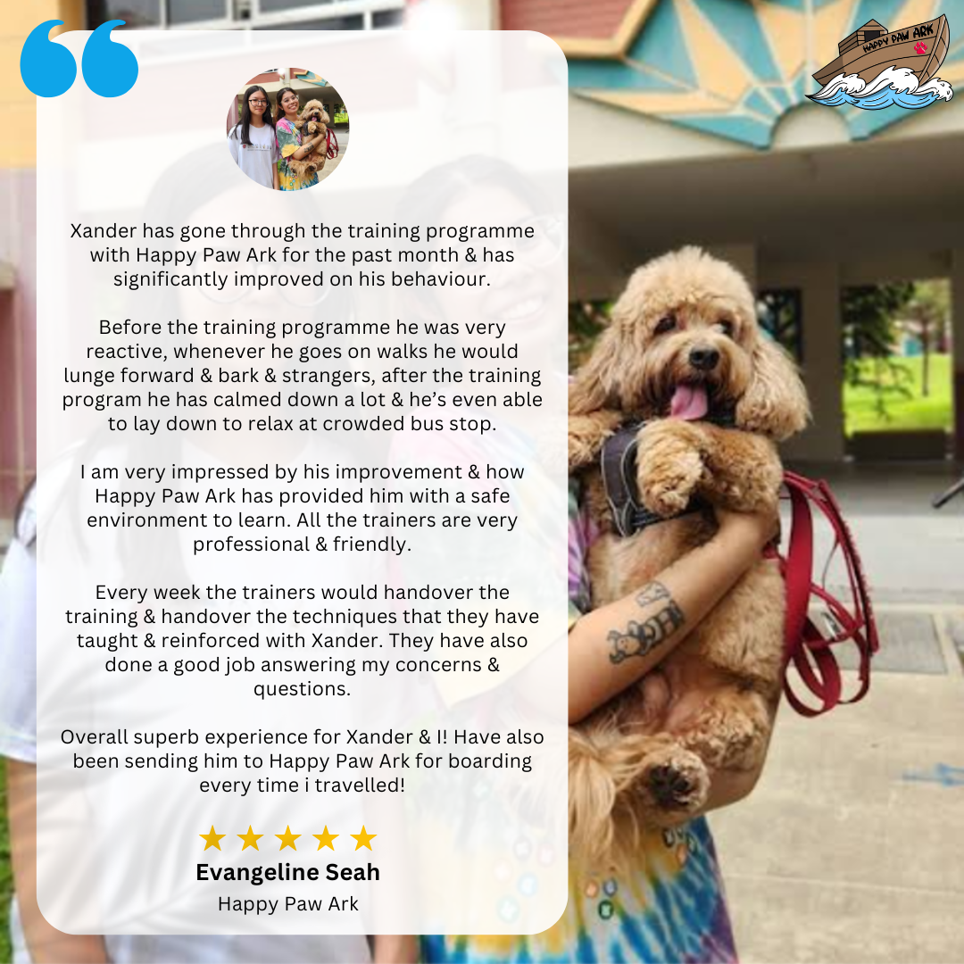 Happy Paw Ark Facebook ad: Your Dog Behaving Well Everywhere… Except Real Life?
