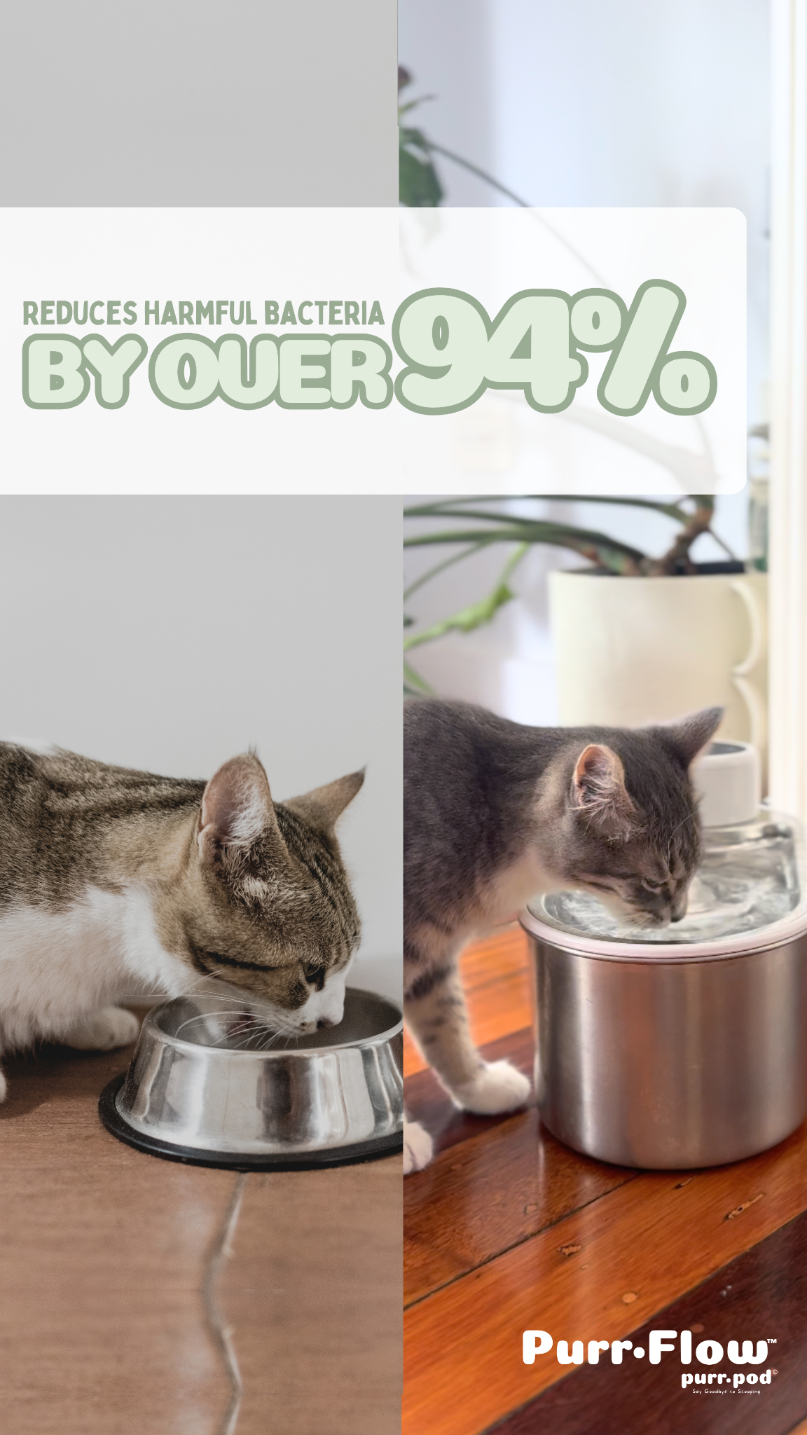 Purr-Pod Facebook ad