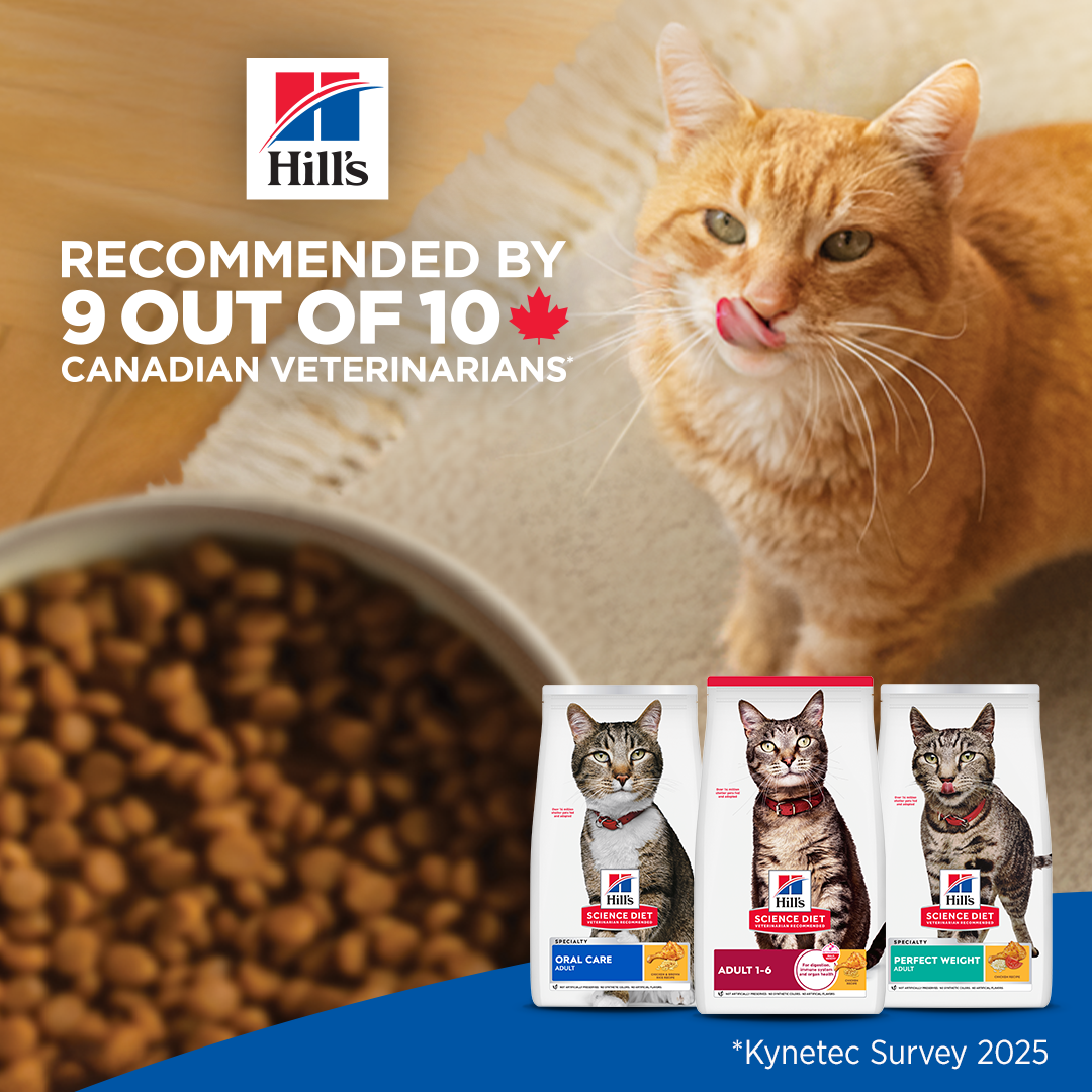Hill’s Pet Nutrition Facebook ad