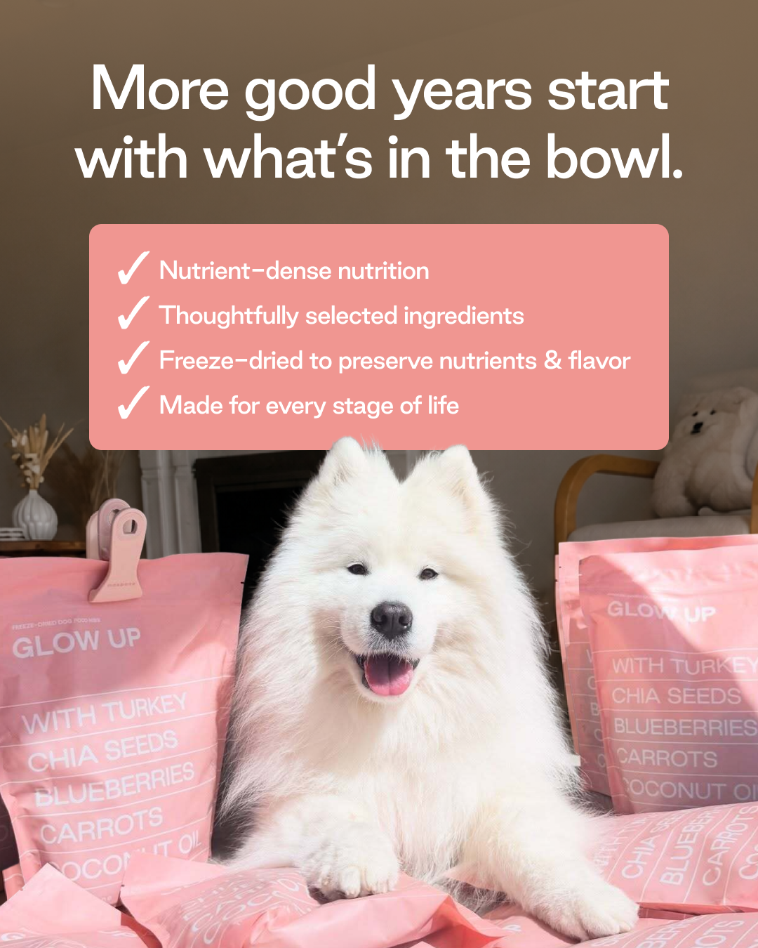 Maxbone Facebook ad: Try maxbone Freeze-Dried for 40% OFF your first trial