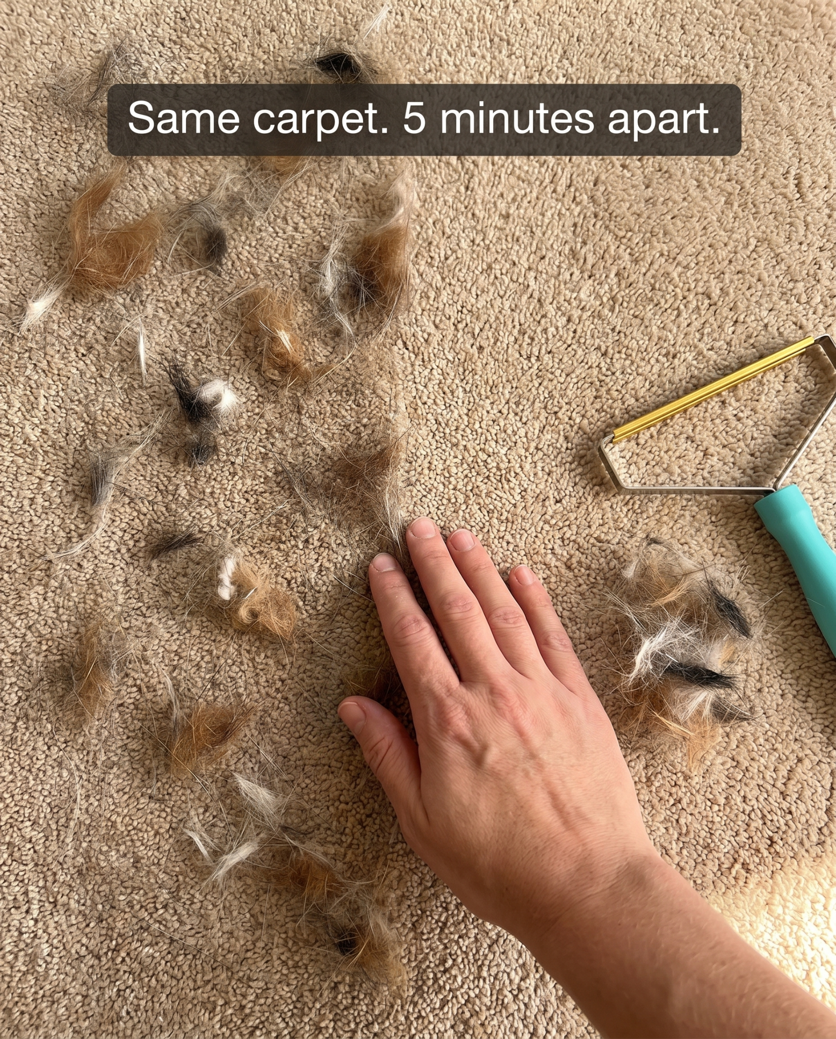 Cozee Clean Facebook ad: The #1 Pet Hair/Lint/Dust Cleaner