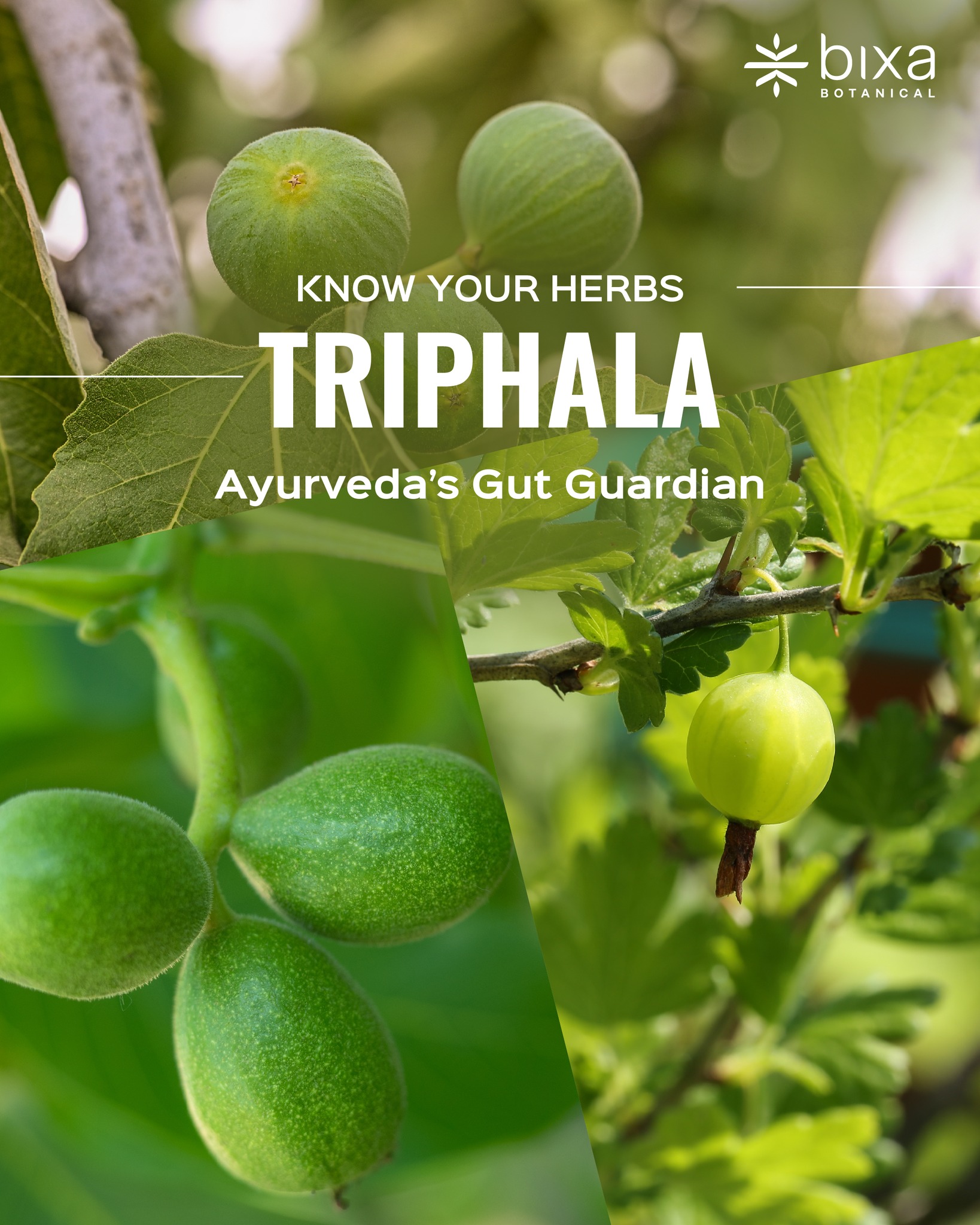 Bixa Botanical India Facebook ad