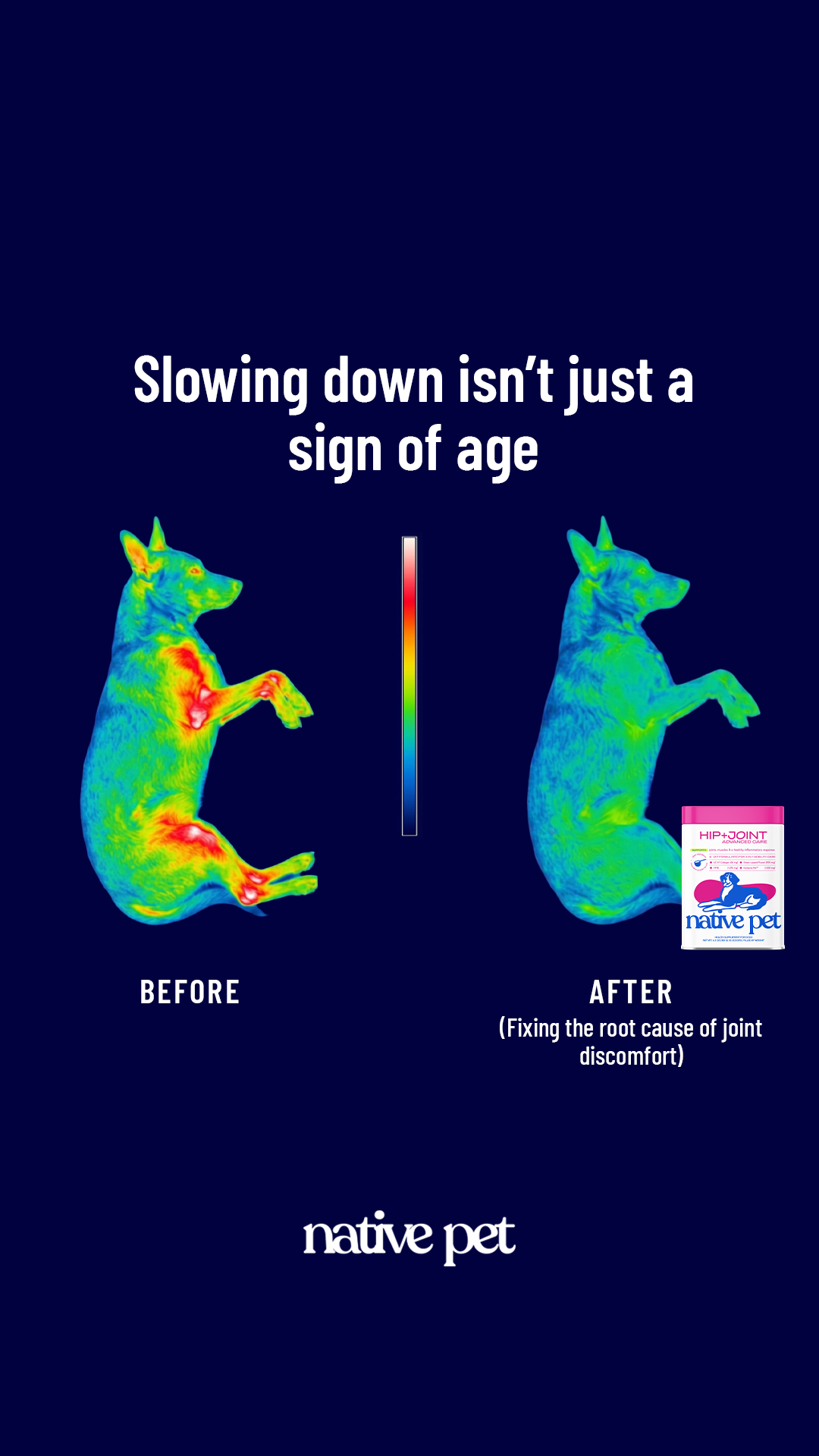 k9healthdaily Facebook ad from Mar 19, 2026