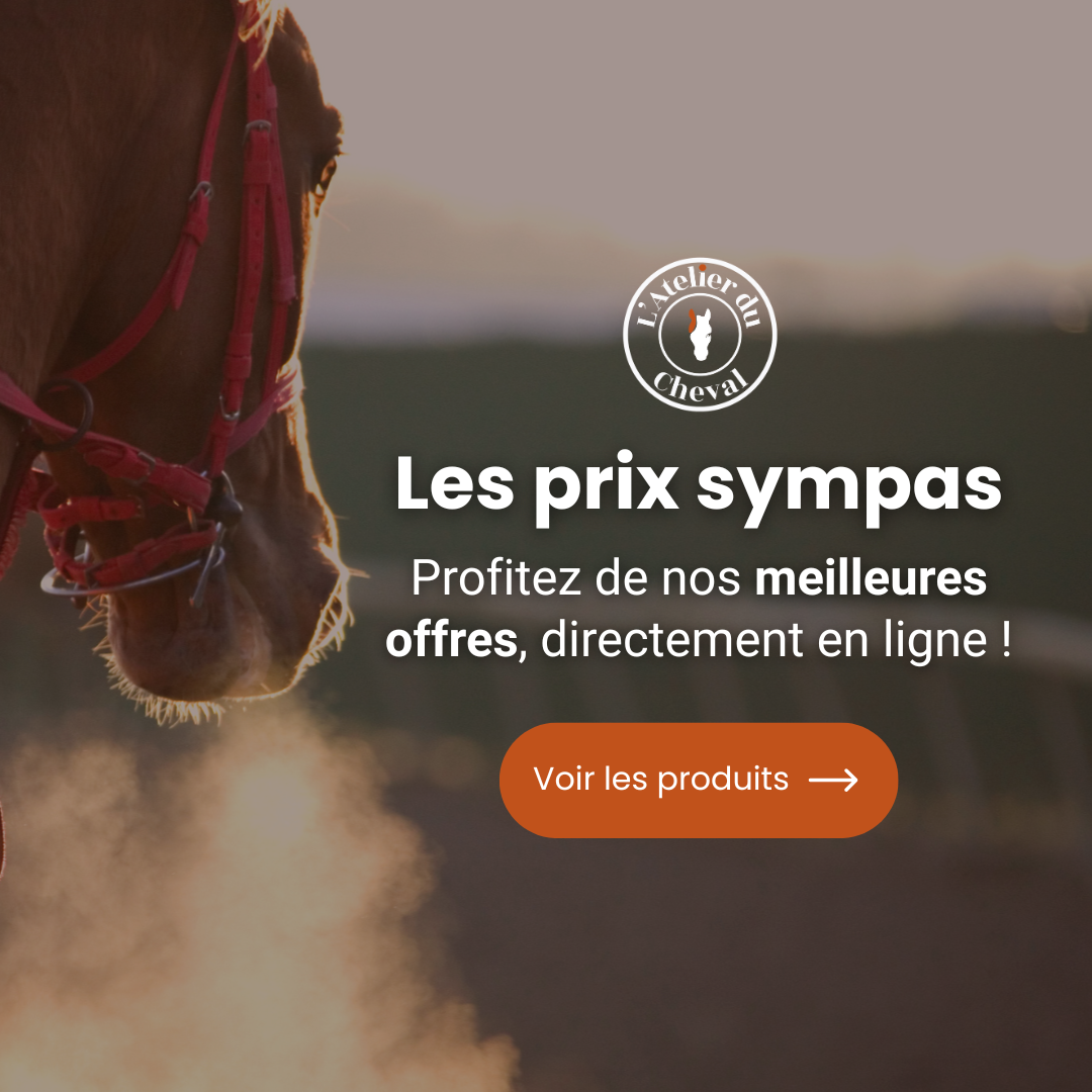 Sellerie L'Atelier du Cheval Facebook ad: De bons produits à prix réduits