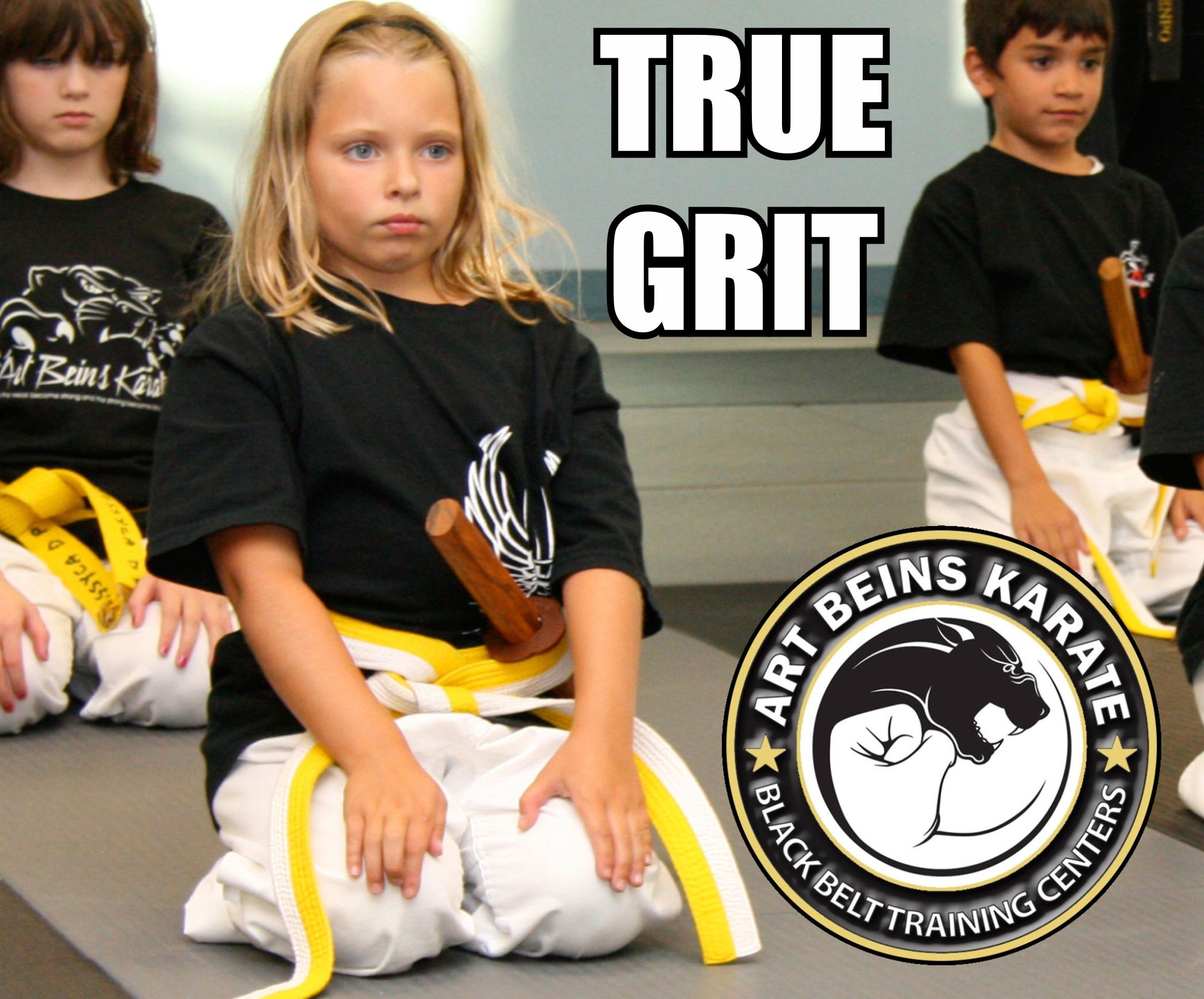 Art Beins Karate Facebook ad