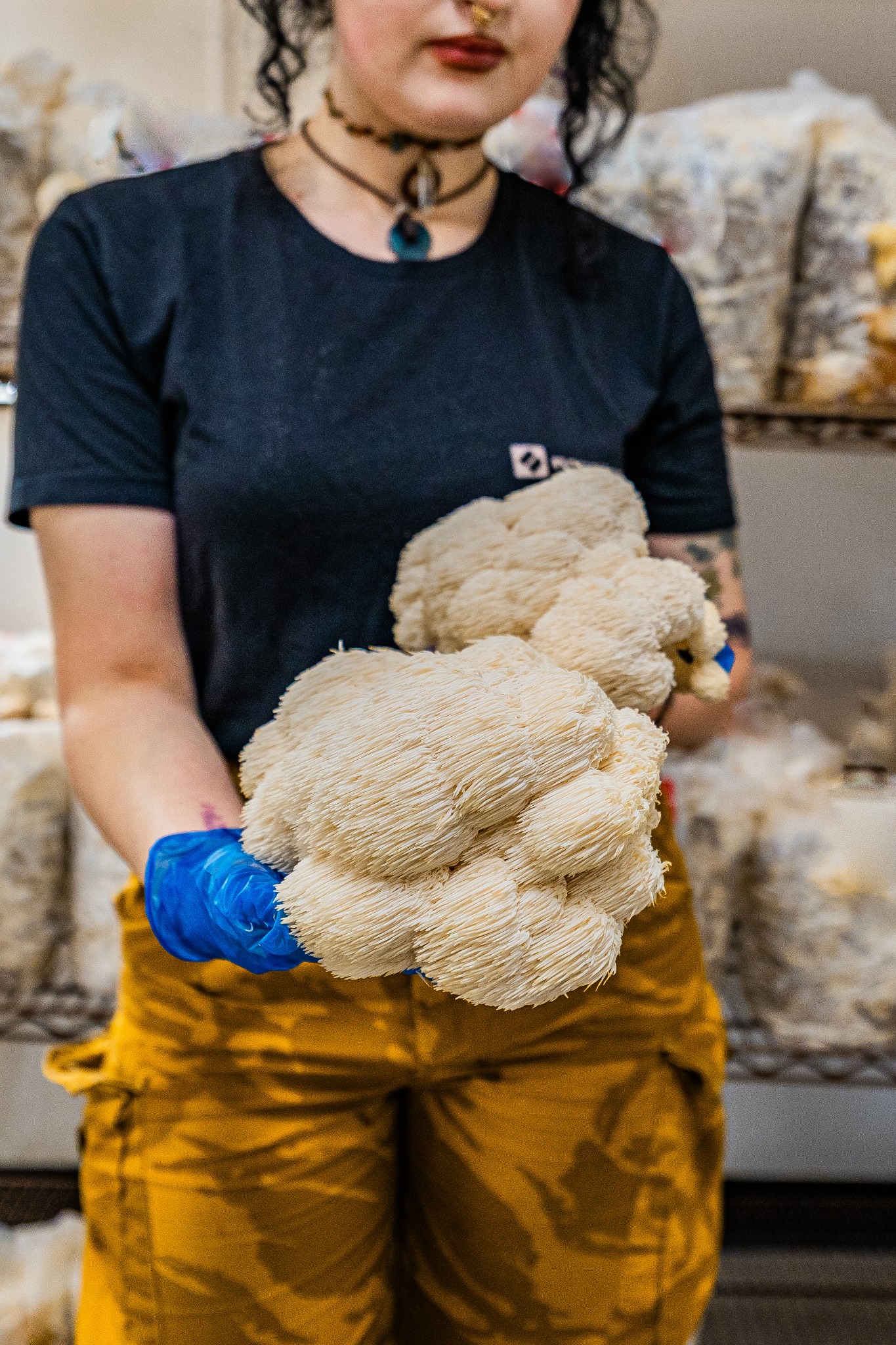 Forest Fungi Facebook ad: Forest Fungi - Cafe & Farm Shop, Dawlish. - Forest Fungi