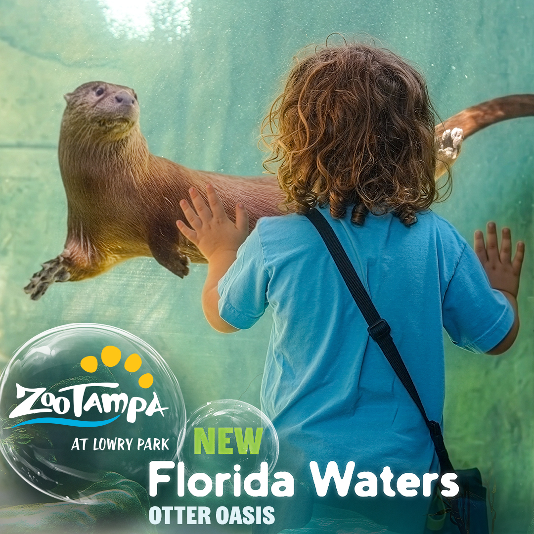 ZooTampa at Lowry Park Facebook ad