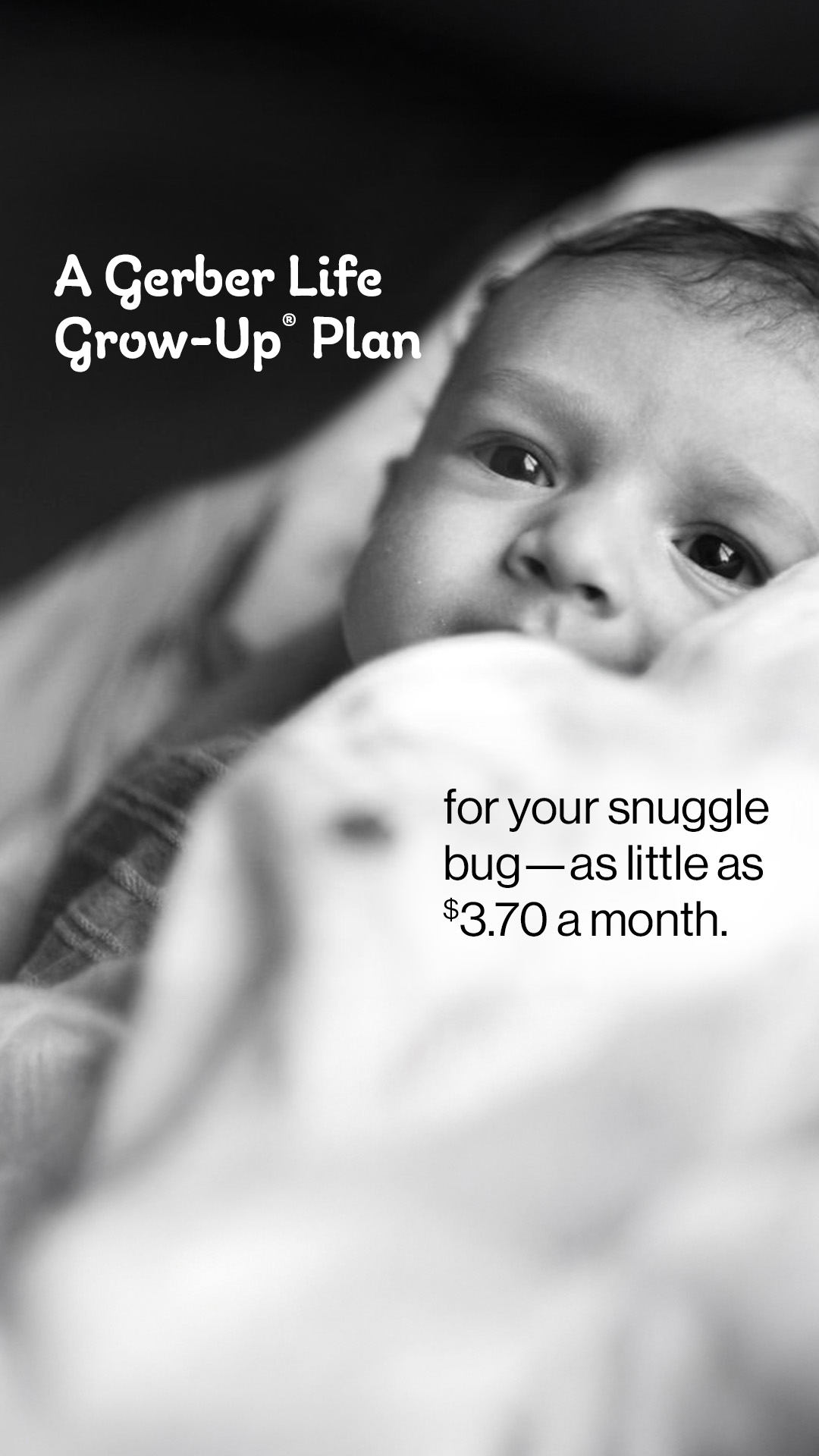 Gerber Life Facebook ad